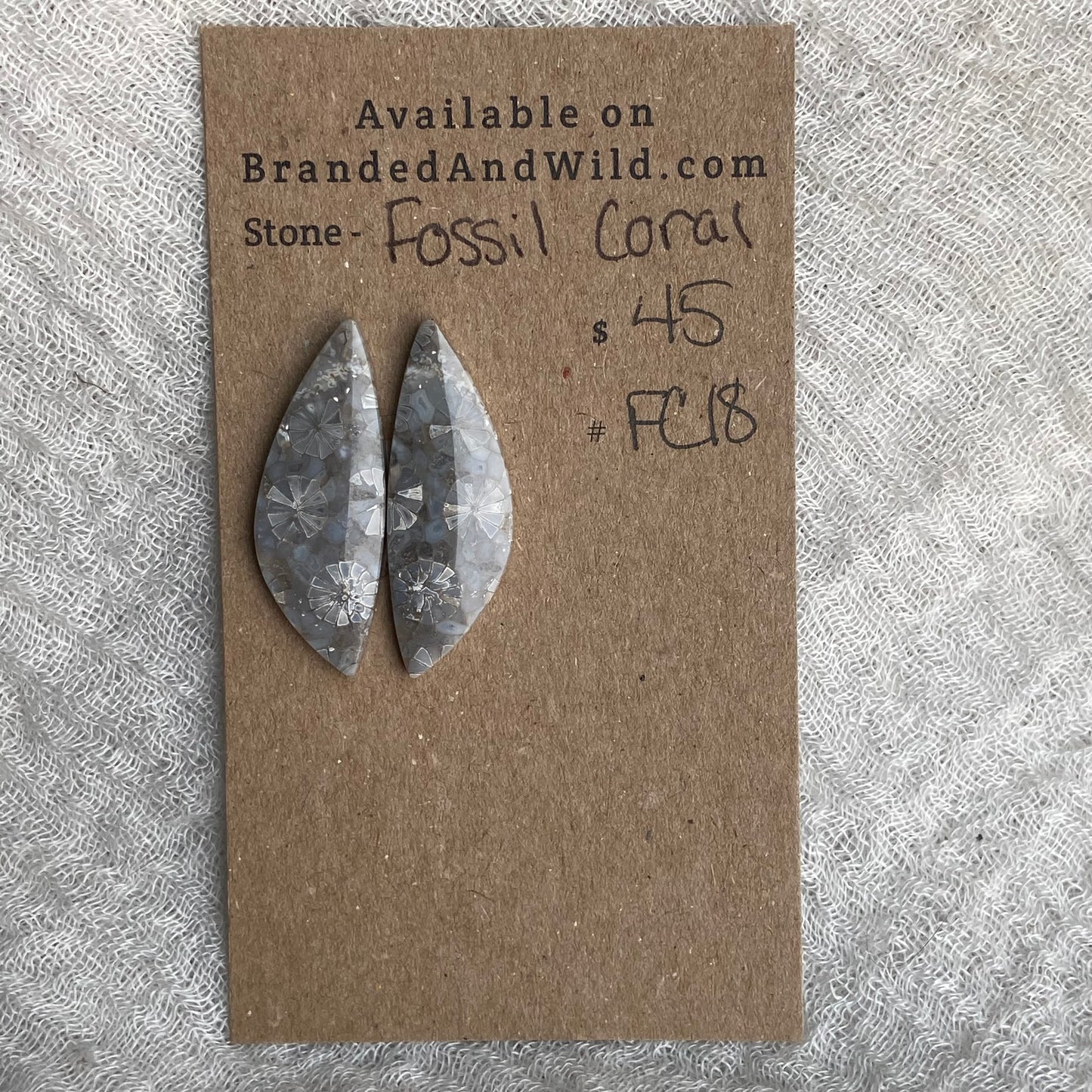 Fossil Coral Cabochon - FC18