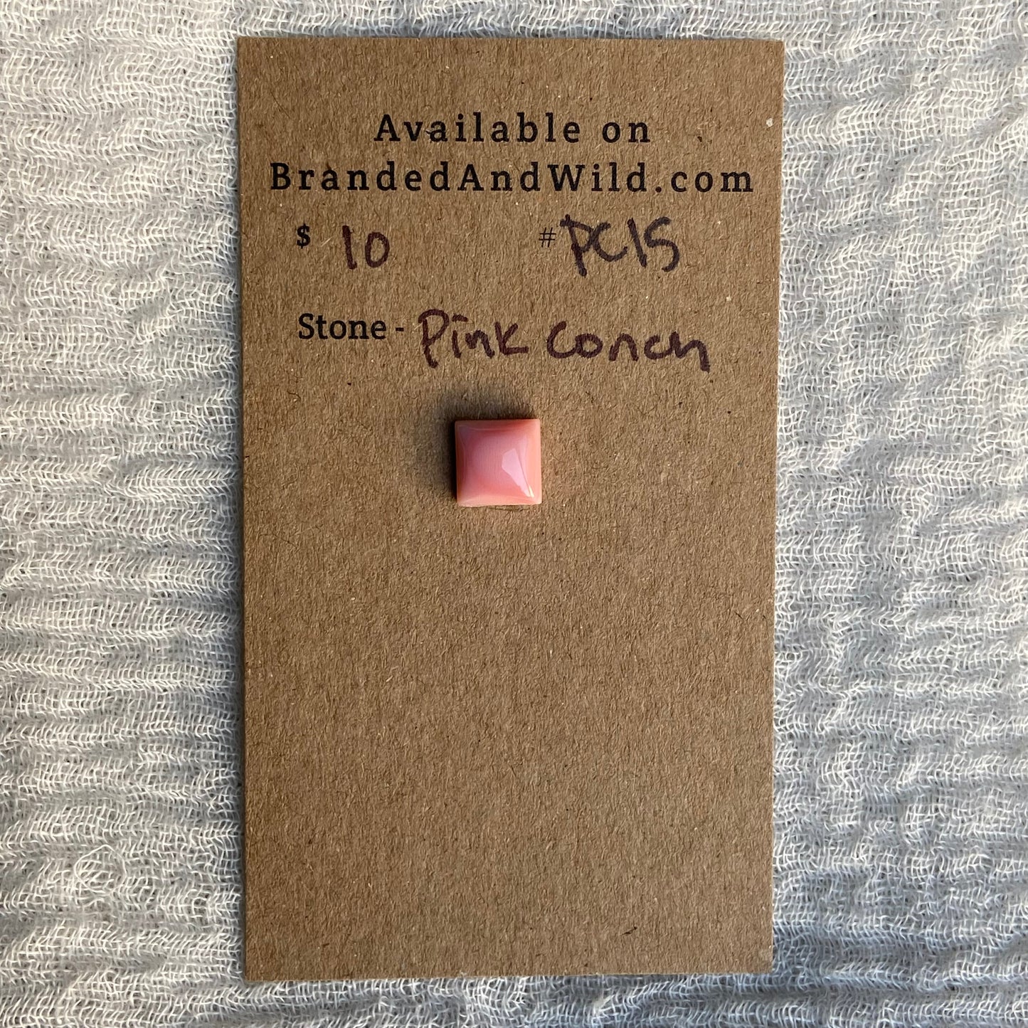 Pink Conch Cabochon - PC15