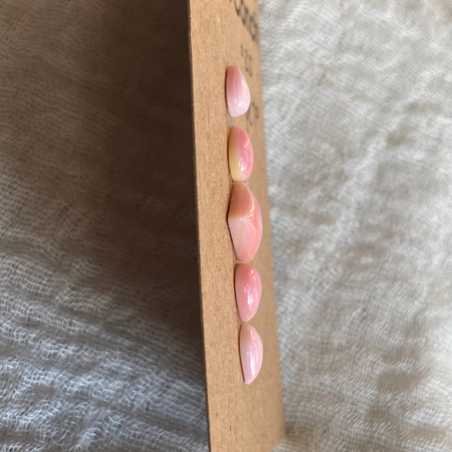 Pink Conch Cabochon - PC70