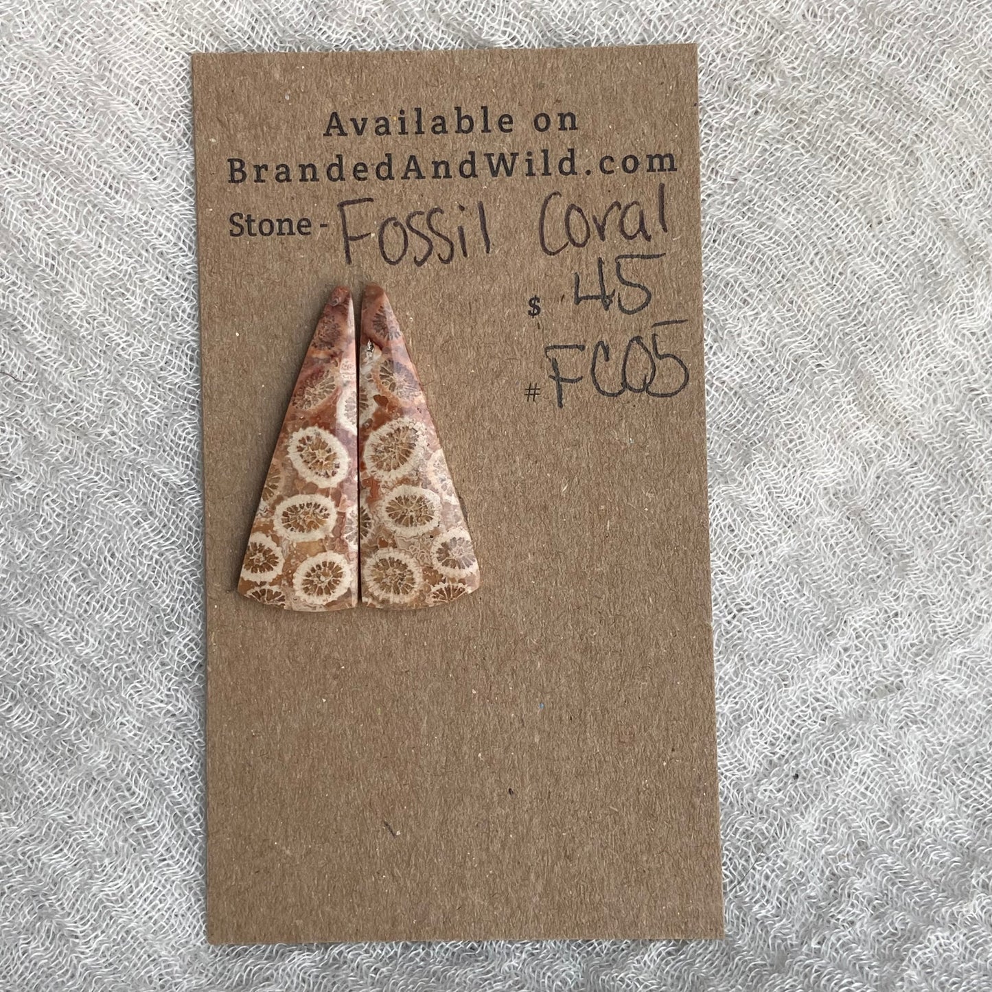 Fossil Coral Cabochon - FC05
