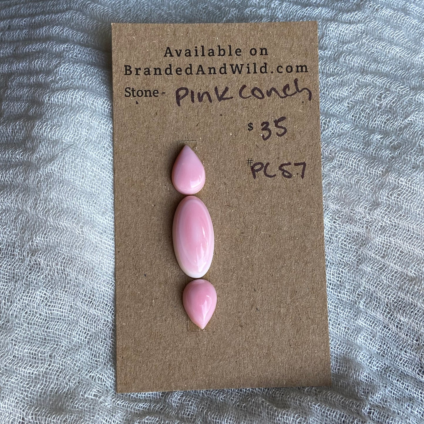Pink Conch Cabochon - PC57