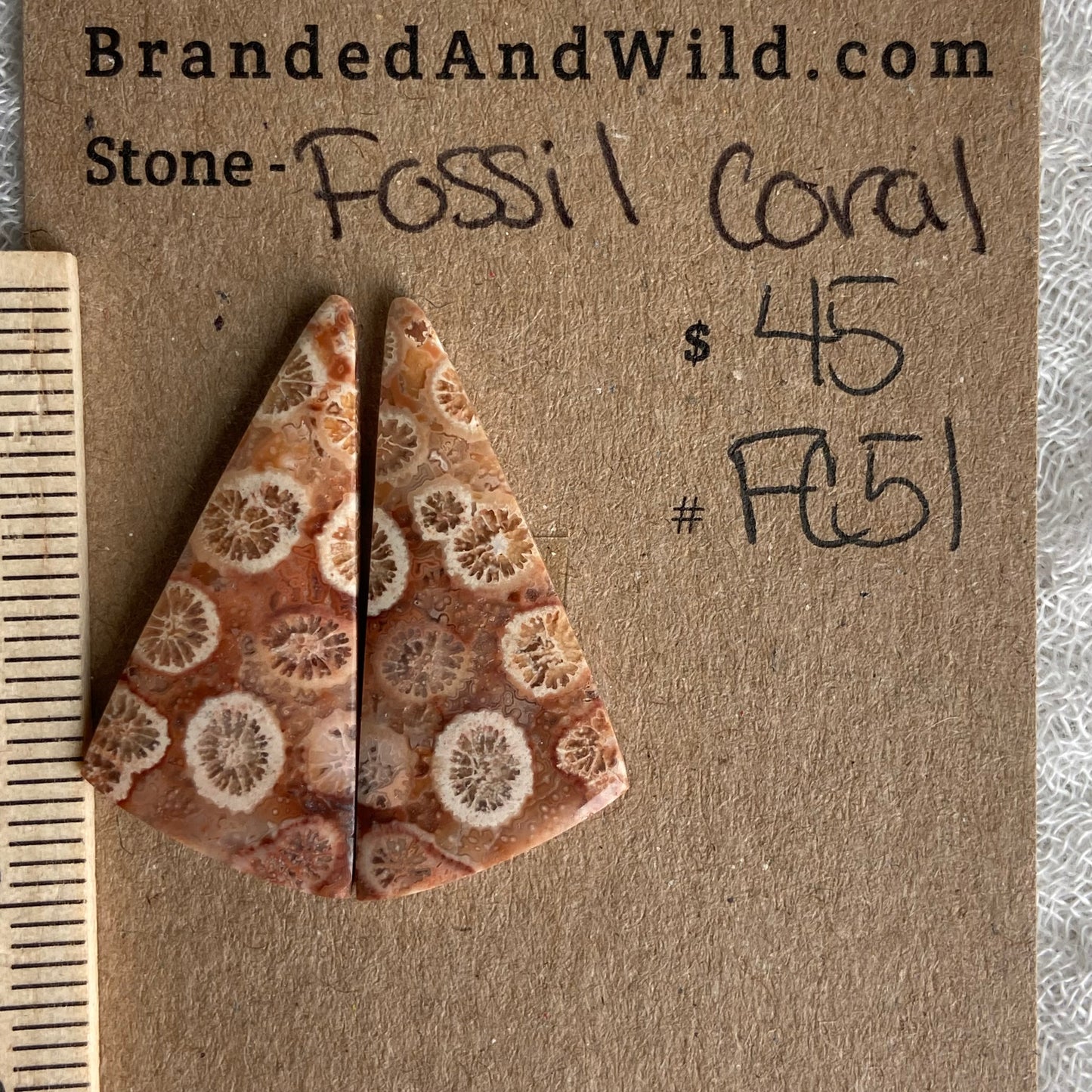 Fossil Coral Cabochon - FC51