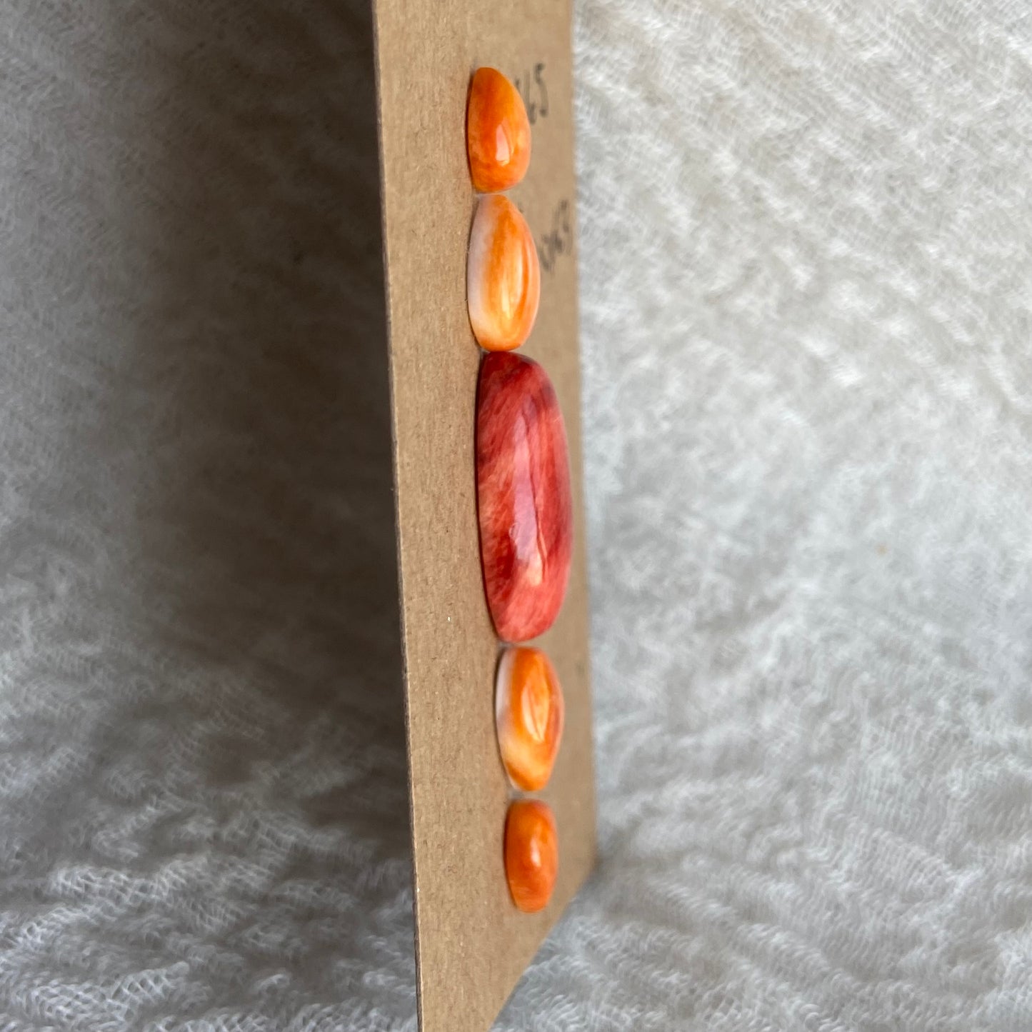 Oystershell Cabochon - MIX63