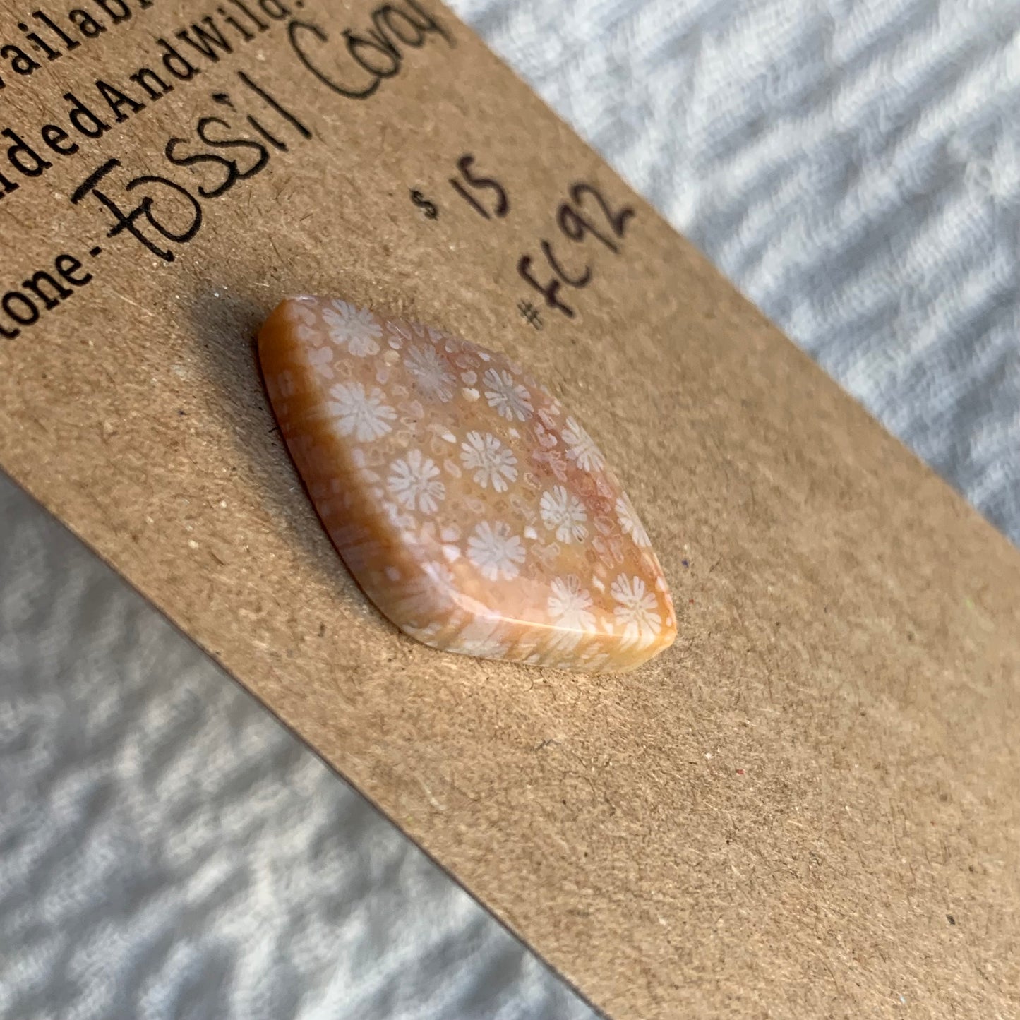 Fossil Coral Cabochon - FC92