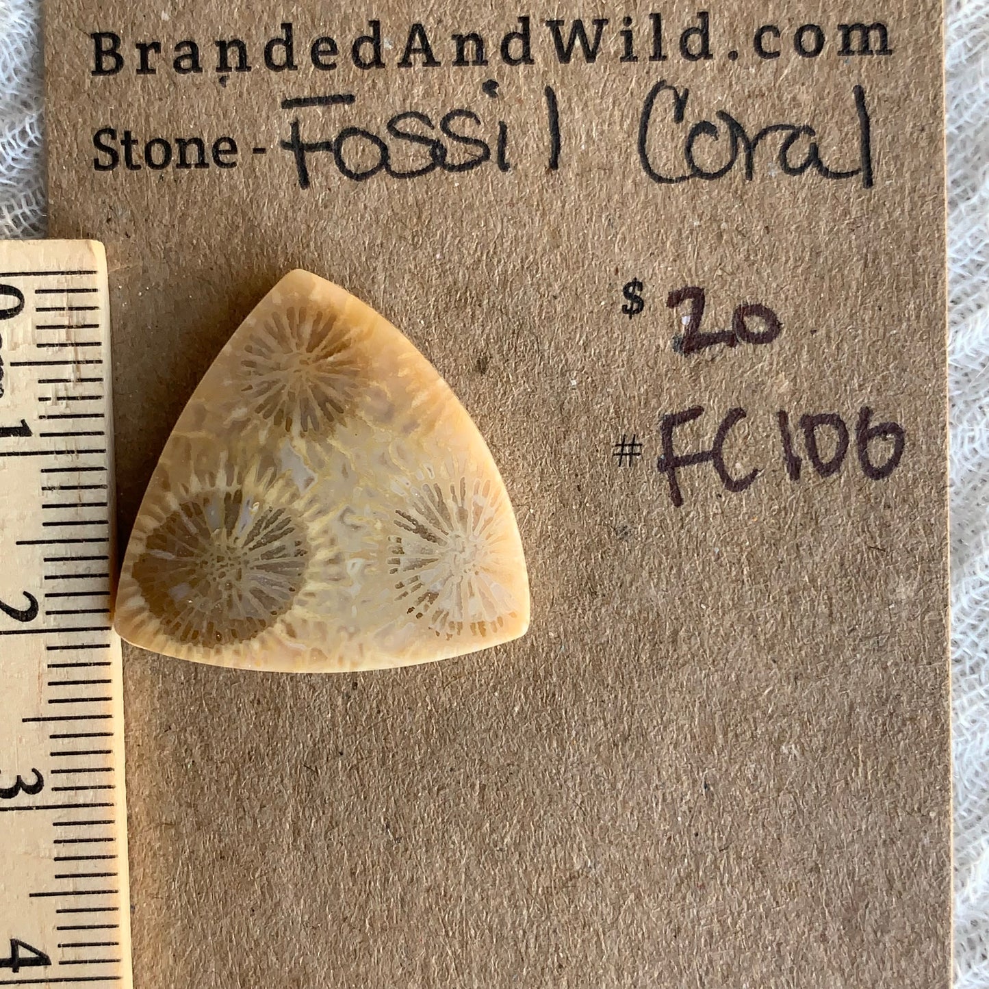 Fossil Coral Cabochon - FC100