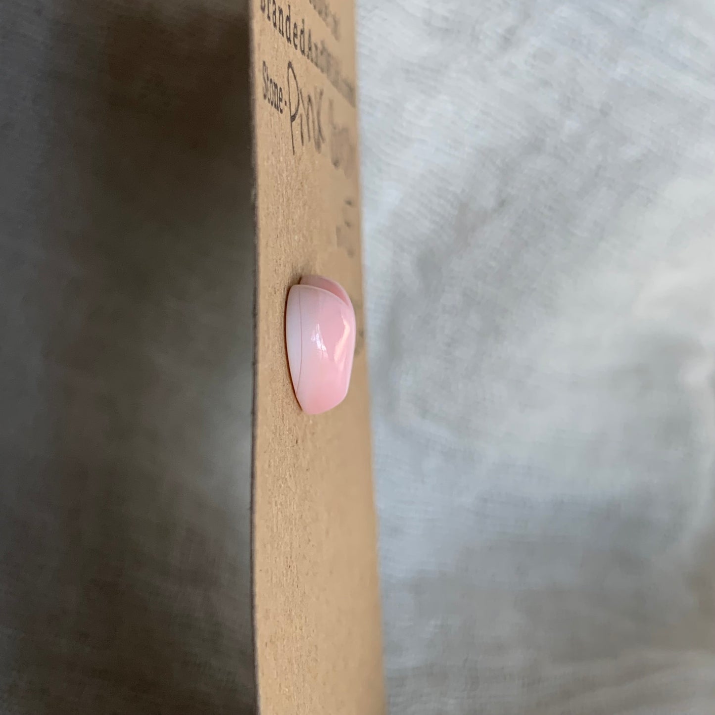 Pink Conch Cabochon - PC12