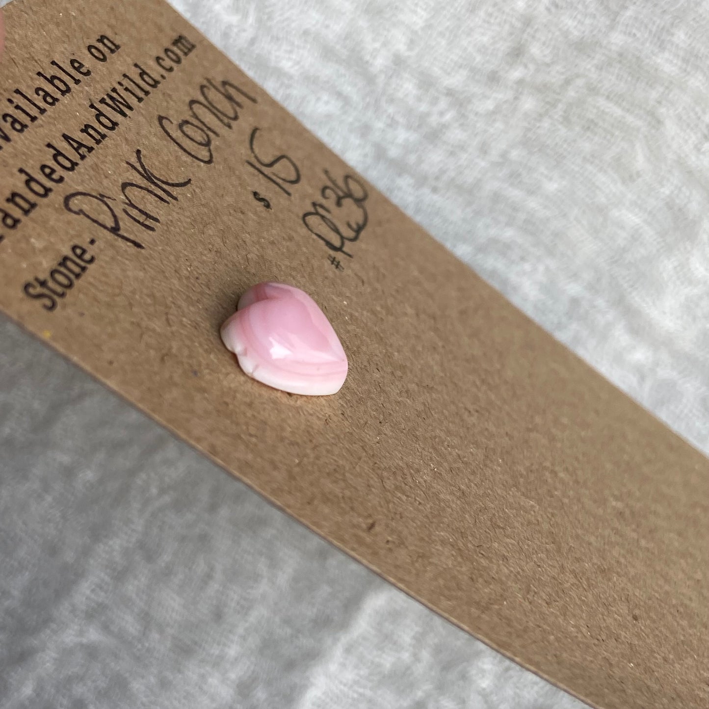 Pink Conch Cabochon - PC36