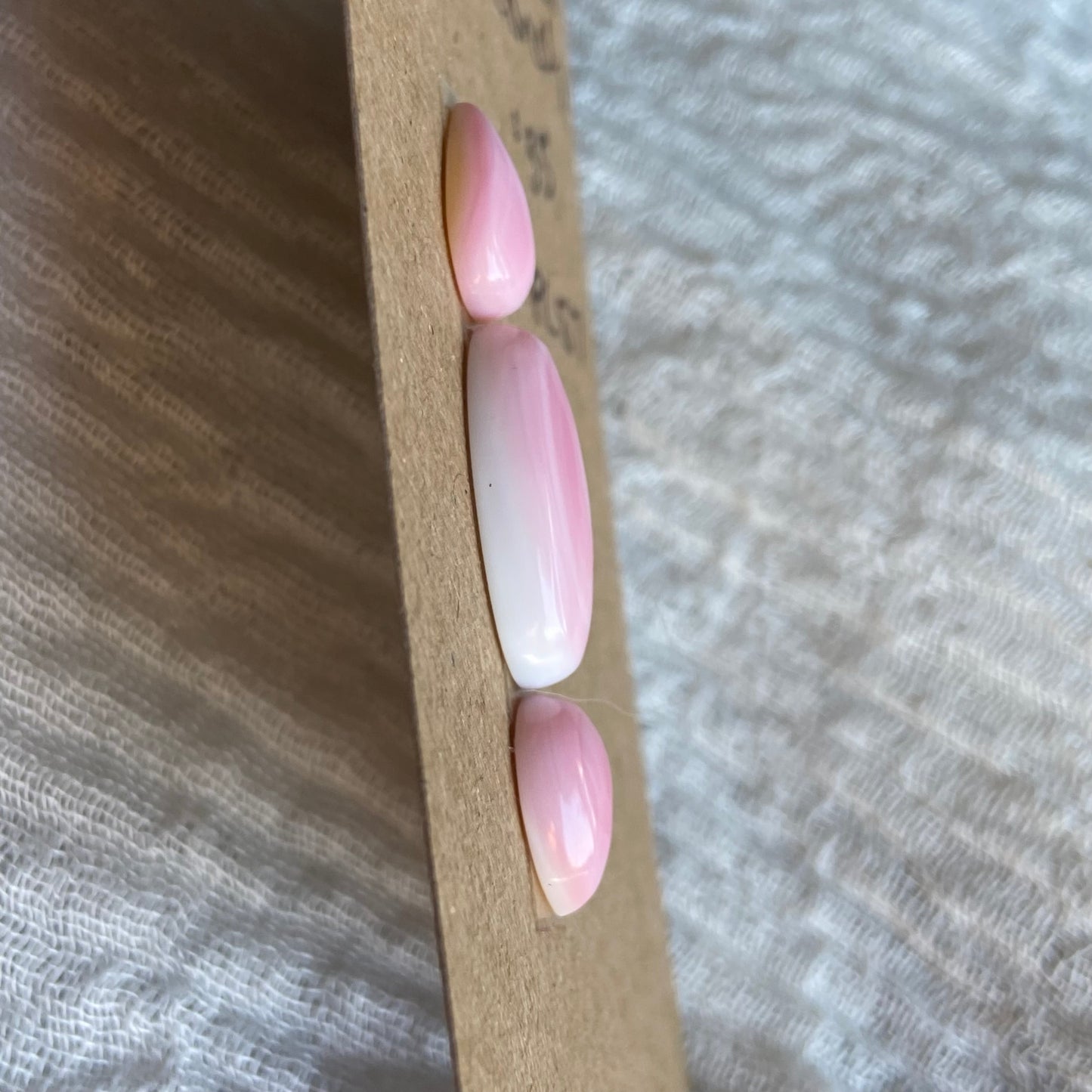 Pink Conch Cabochon - PC57