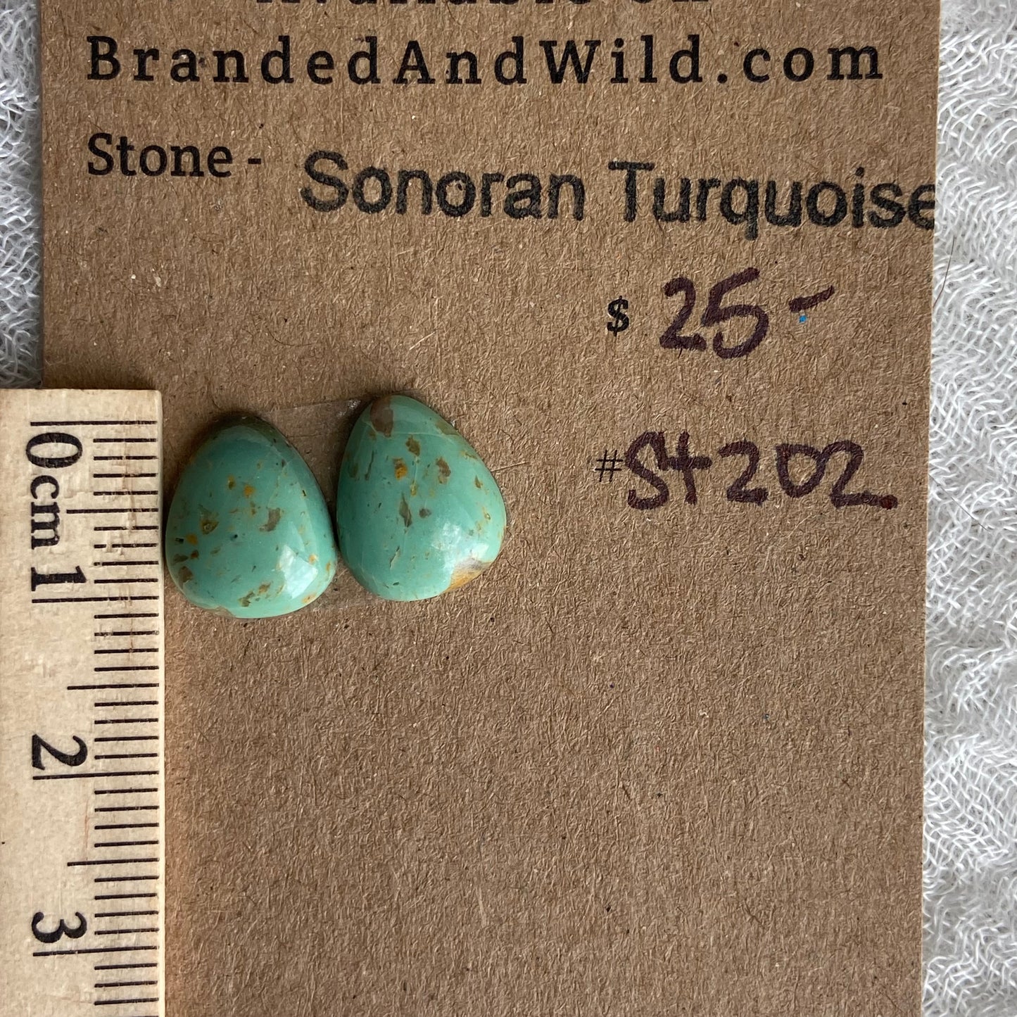 Sonoran Turquoise Cabochon - ST202