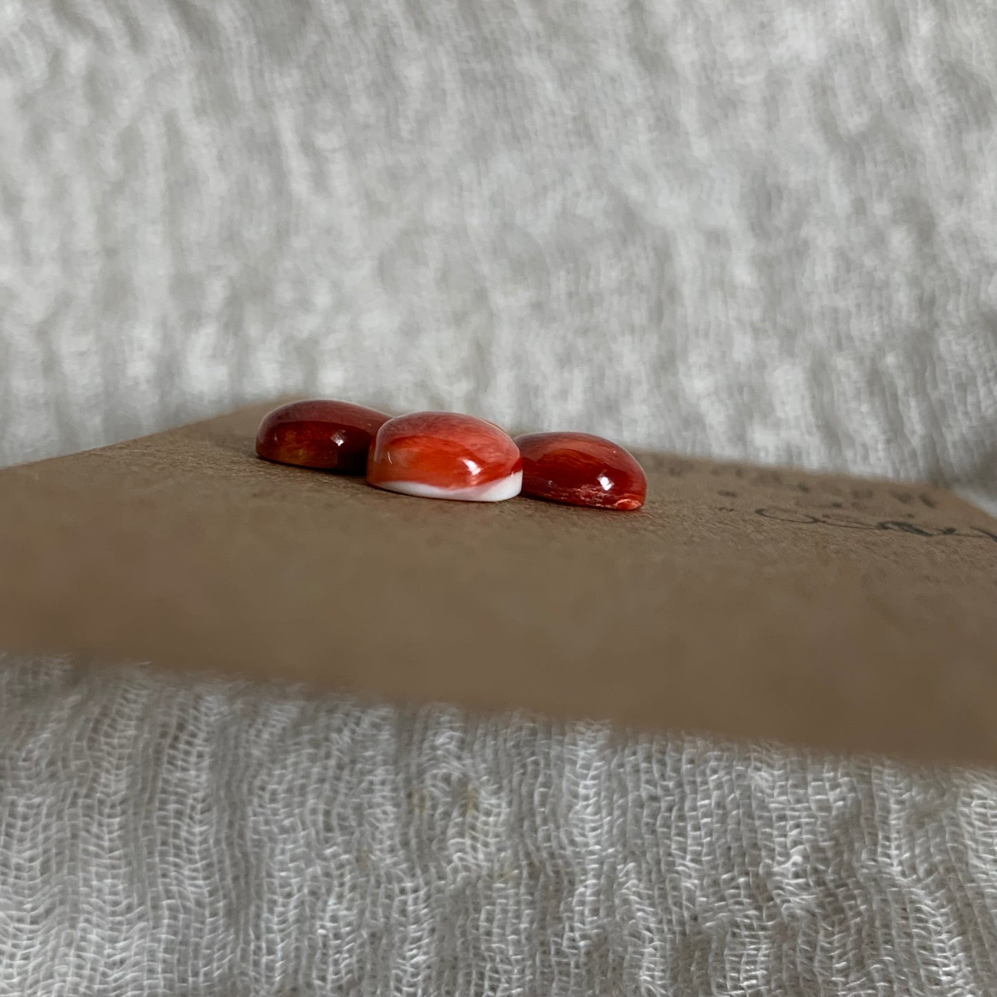 Oystershell Cabochon - OS14
