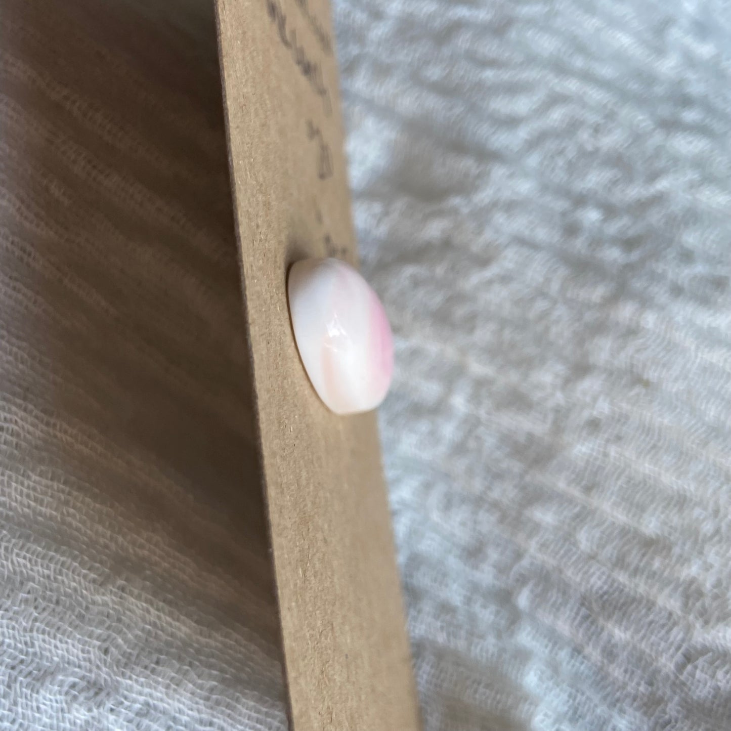 Pink Conch Cabochon - PC56