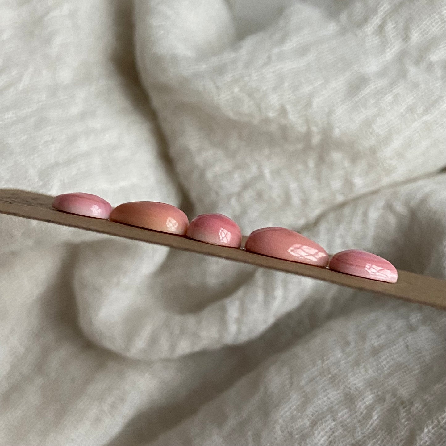 Pink Conch Cabochon - PC26