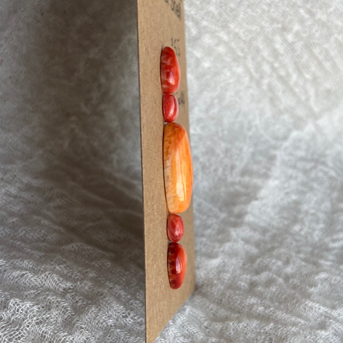 Oystershell Cabochon - MIX44