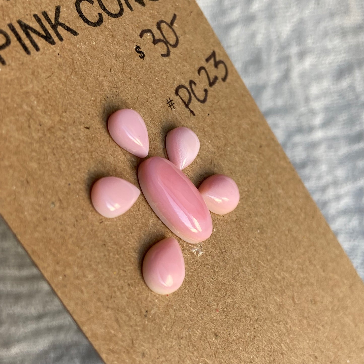 Pink Conch Cabochon - PC23