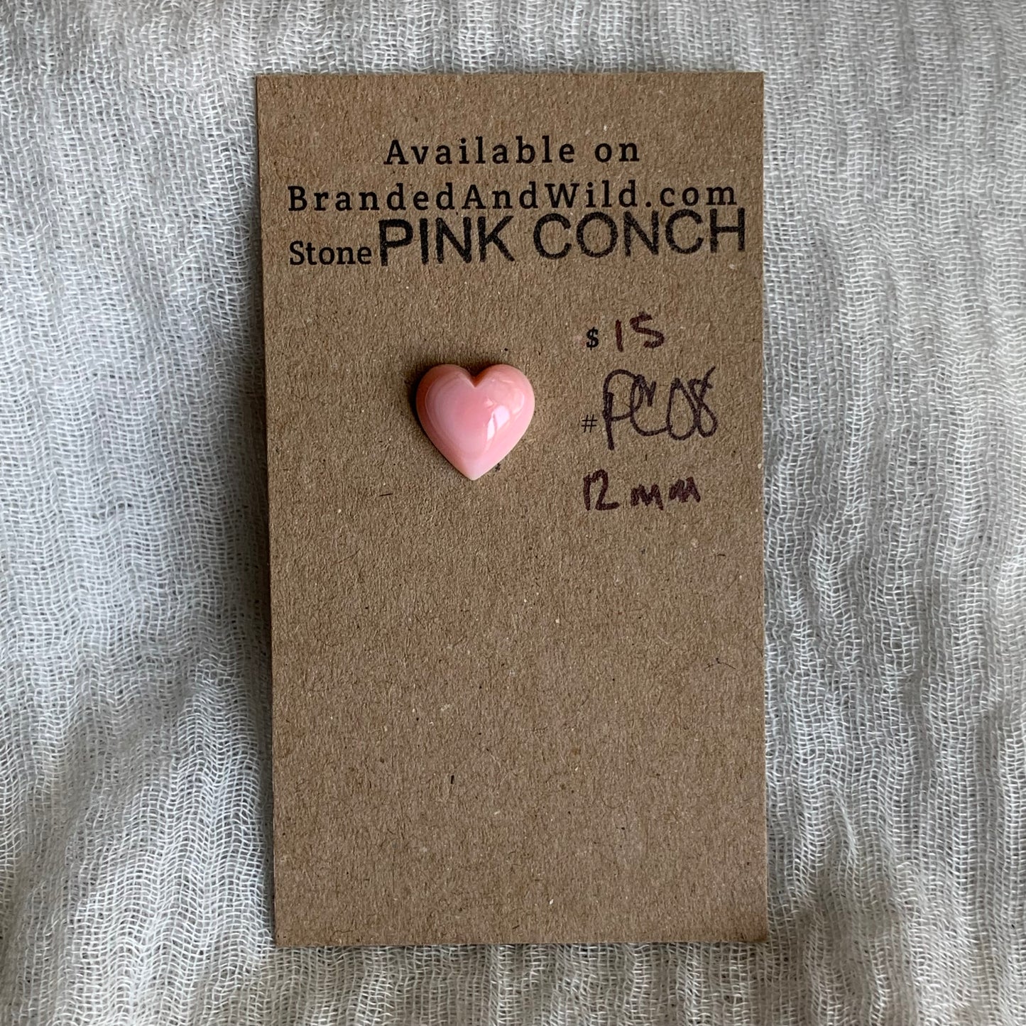 Pink Conch Cabochon - PC08