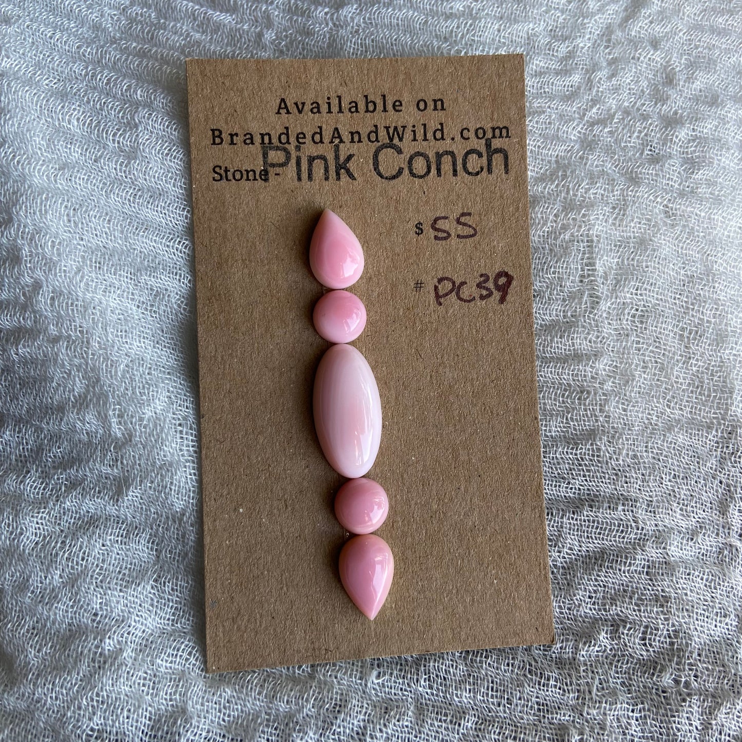 Pink Conch Cabochon - PC39