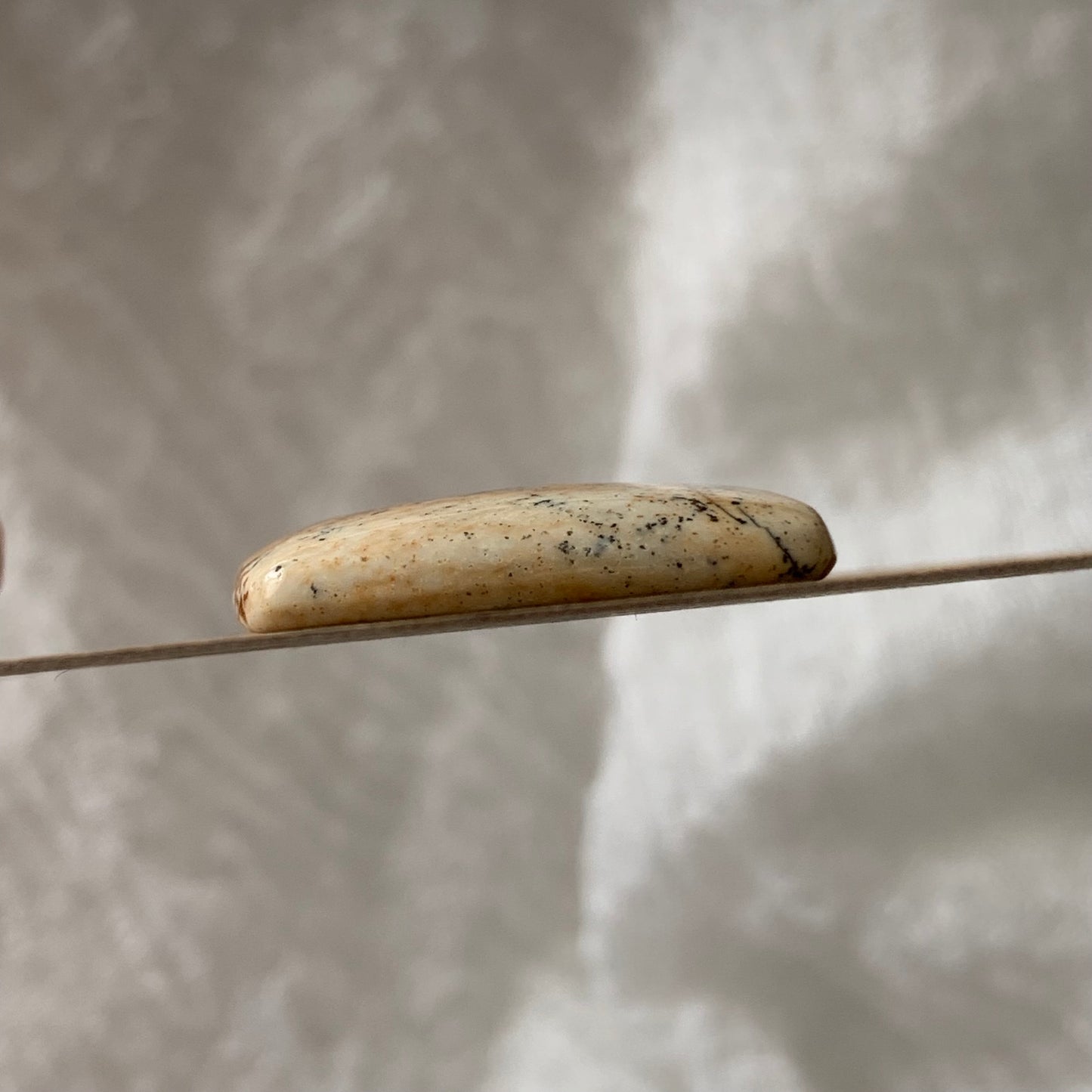 Picture Jasper cabochon - PJ09