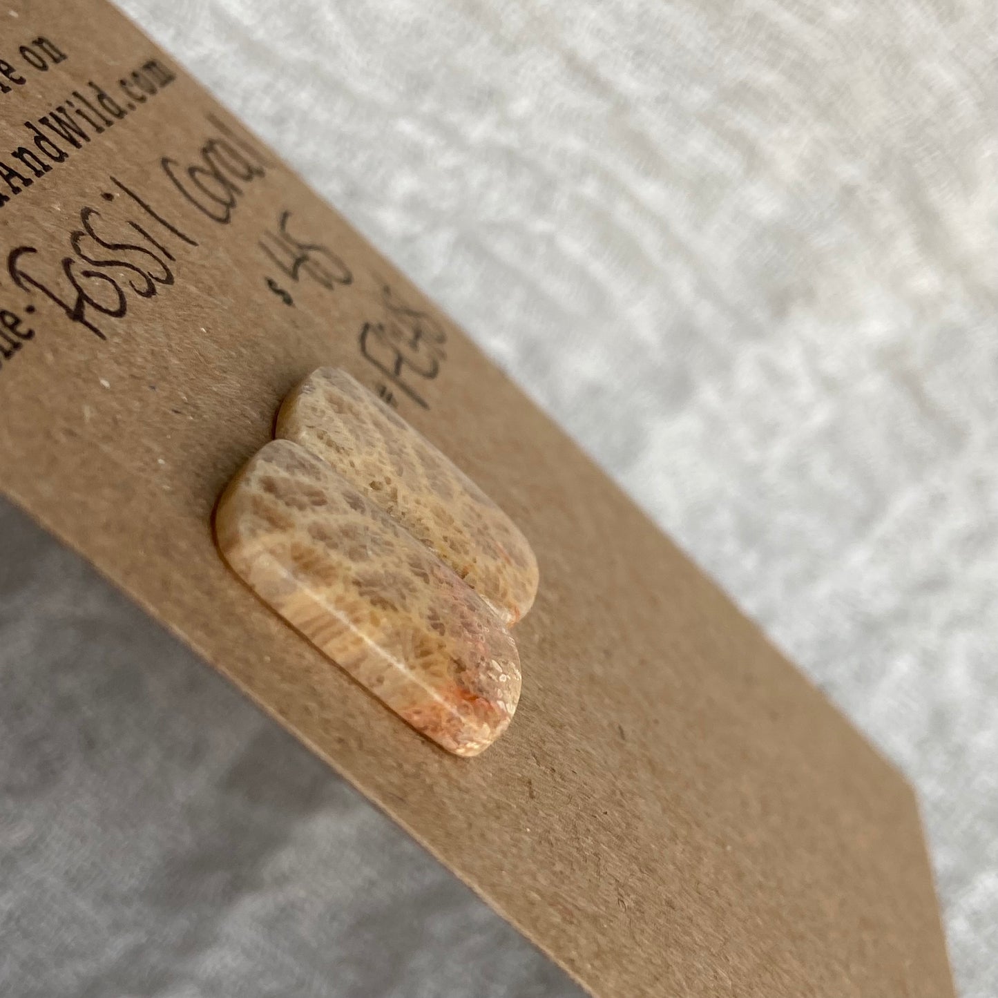 Fossil Coral Cabochon - FC48