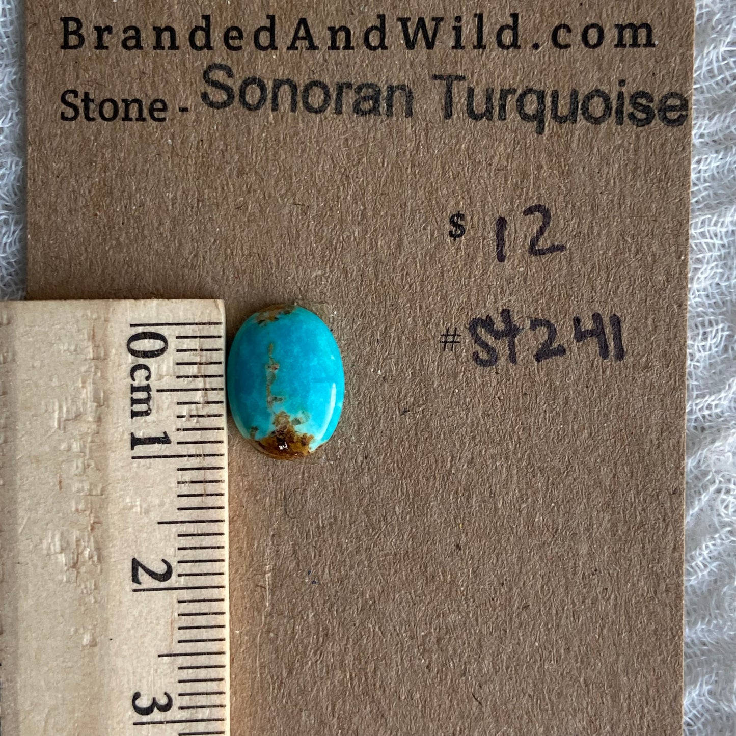 Sonoran Turquoise Cabochon - ST241