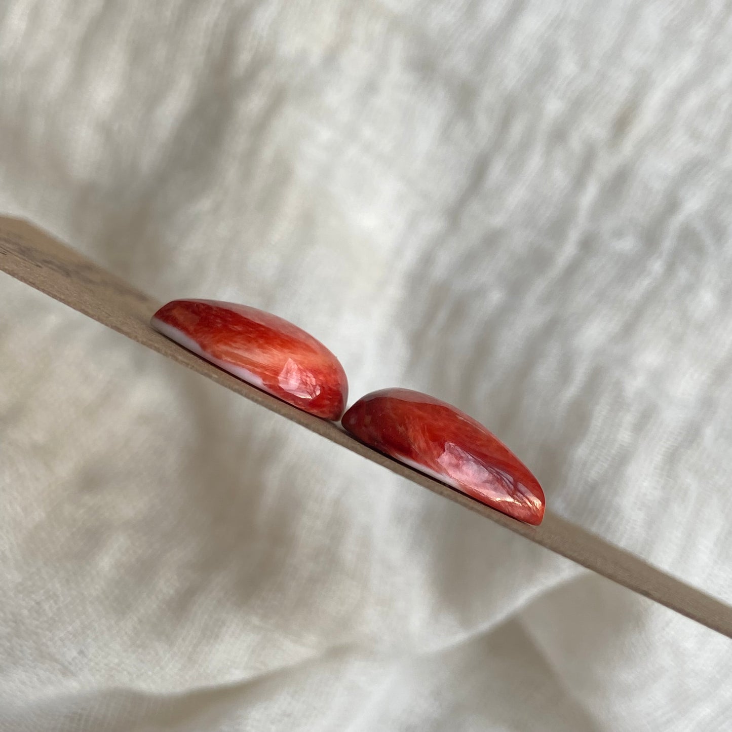 Oystershell Cabochon - 0S24