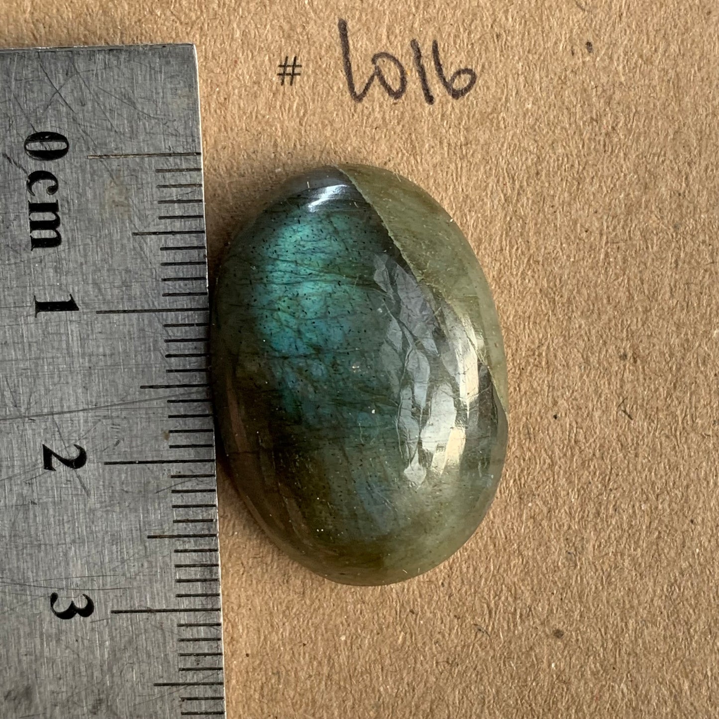 Labradorite Cabochon - L016