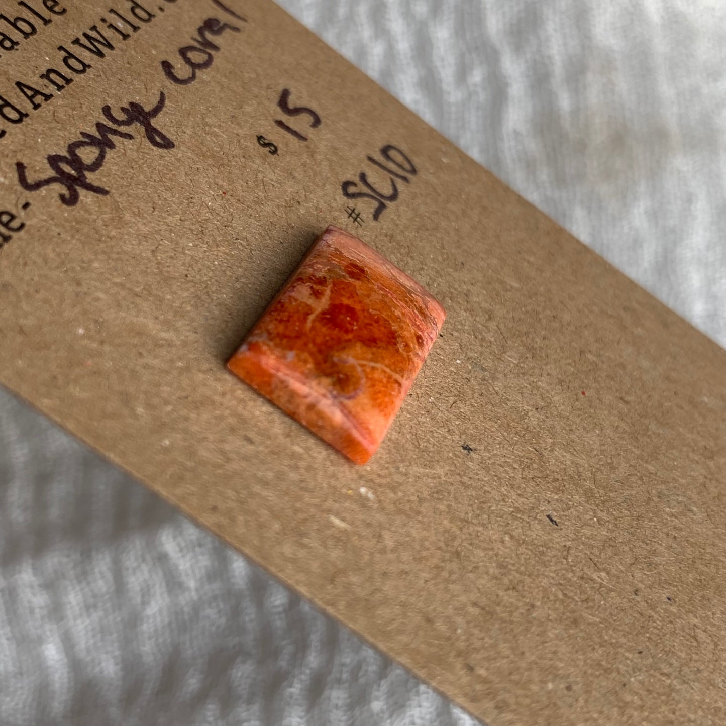 Sponge Coral Cabochon - SC10