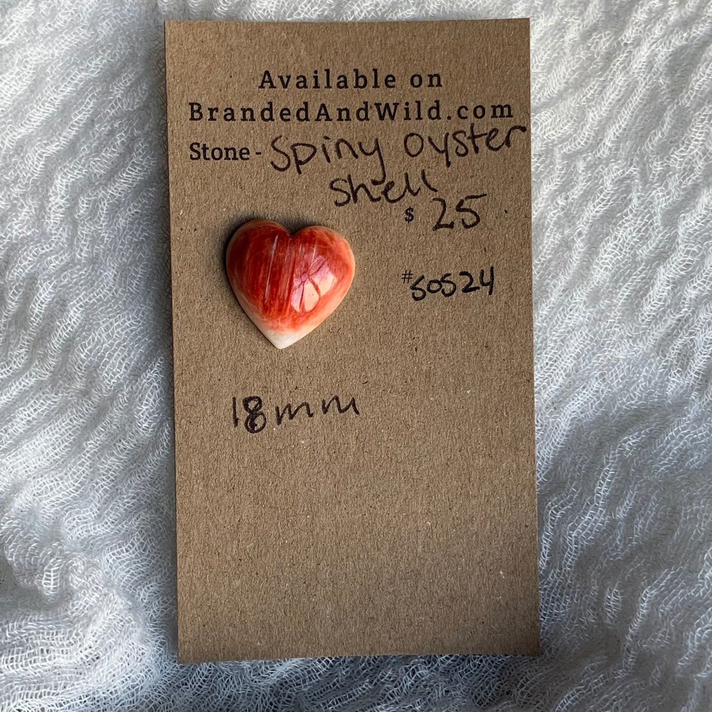 Spiny Oyster Shell Cabochon - SOS24