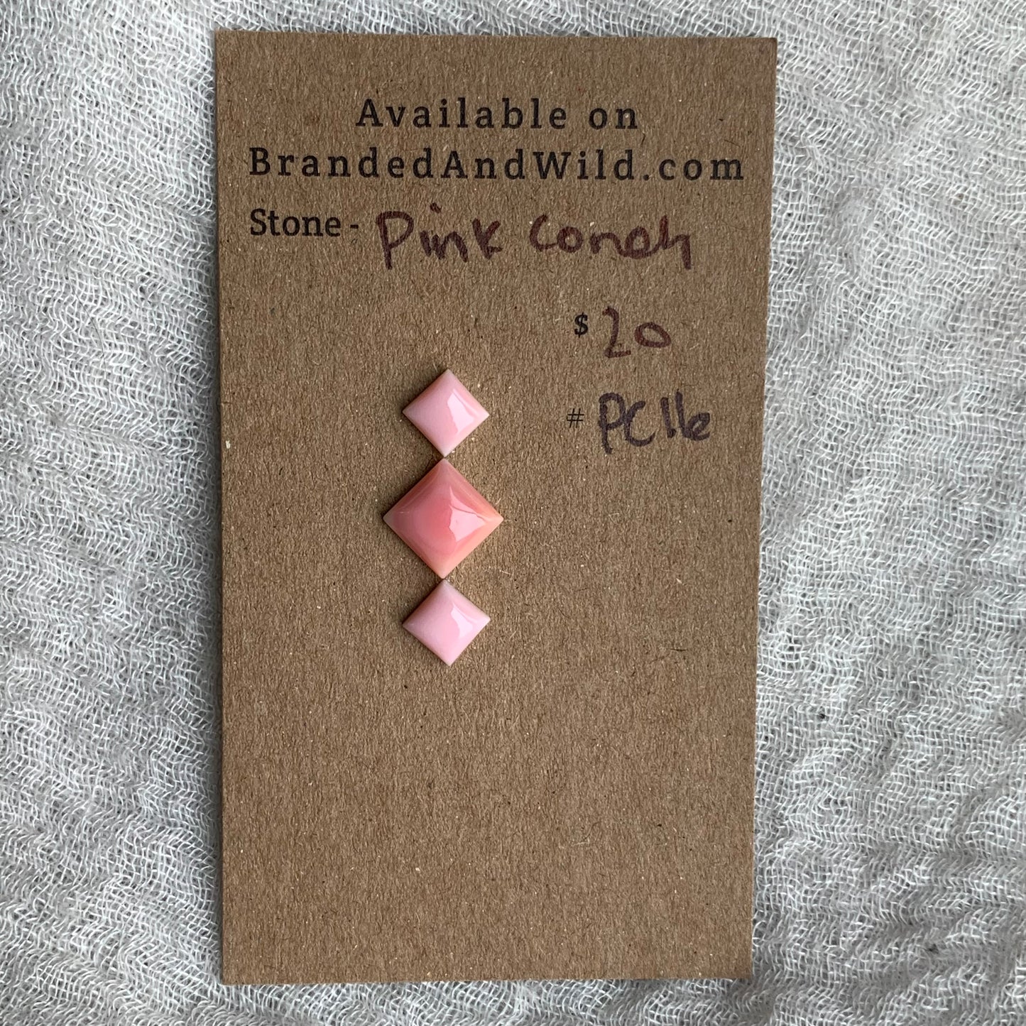 Pink Conch Cabochon - PC16