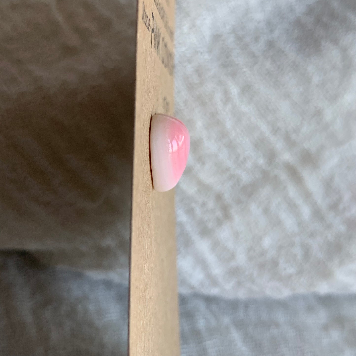 Pink Conch Cabochon - PC06