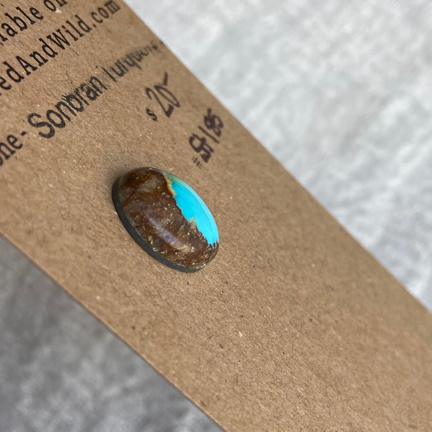 Sonoran Turquoise Cabochon - ST185