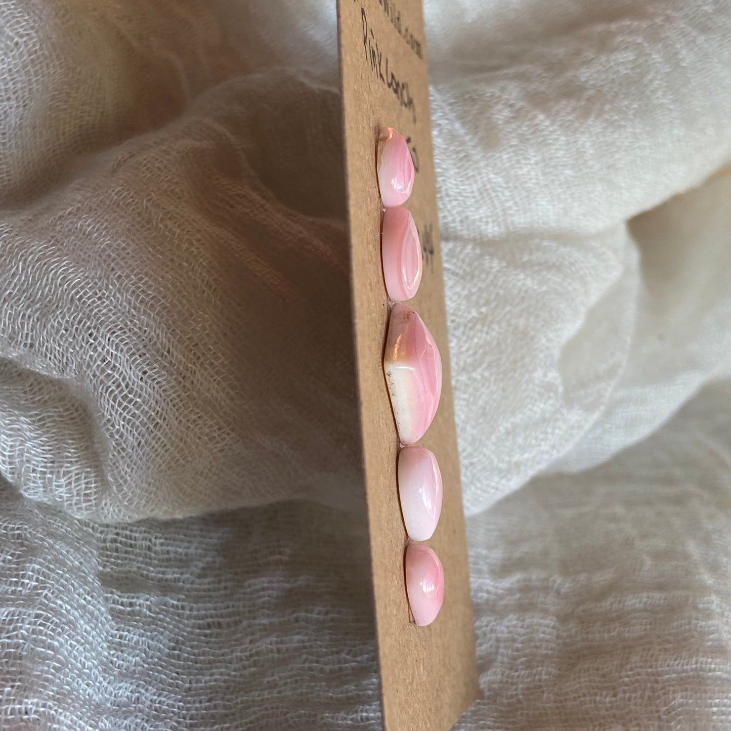 Pink Conch Cabochon - PC44