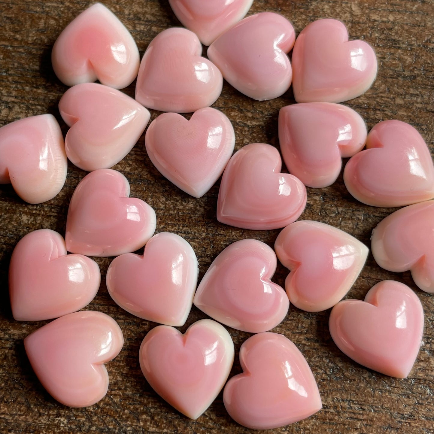 Pink Conch 12 mm heart