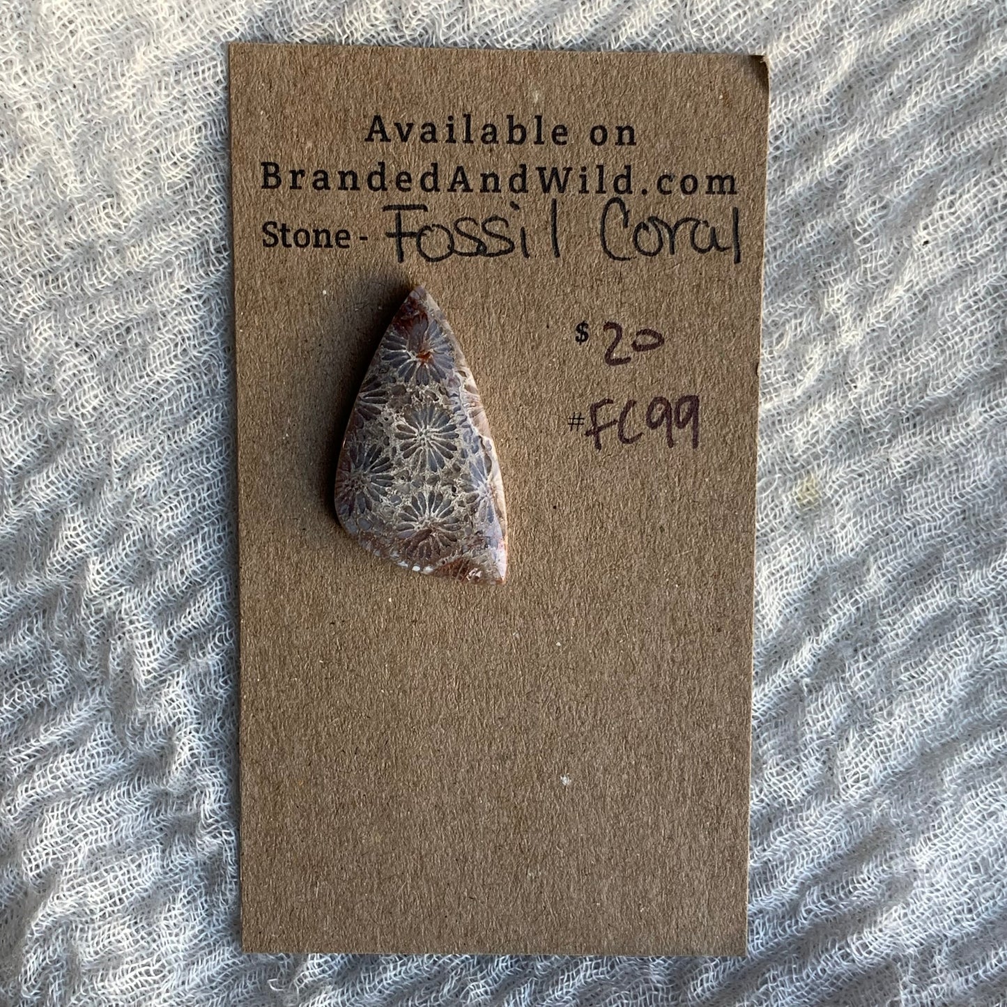 Fossil Coral Cabochon - FC99
