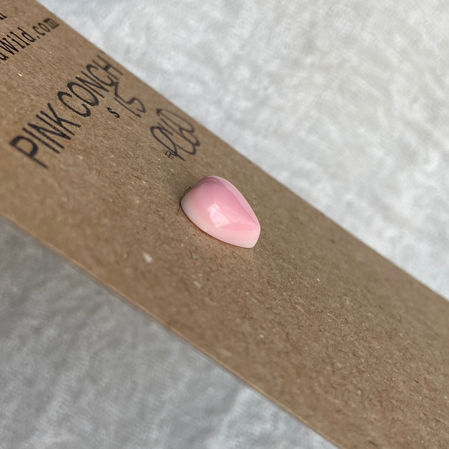 Pink Conch Cabochon - PC60