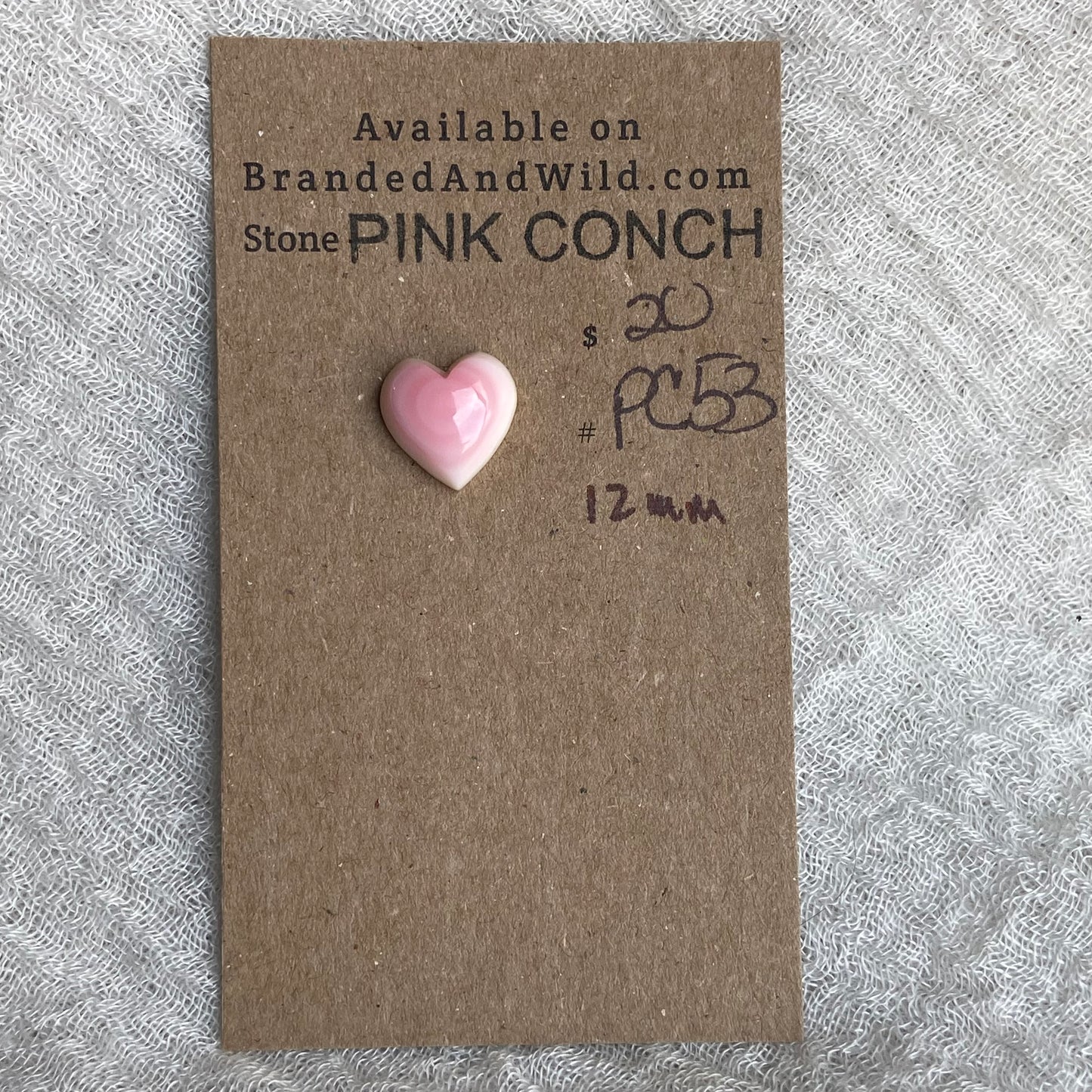 Pink Conch Cabochon - PC53