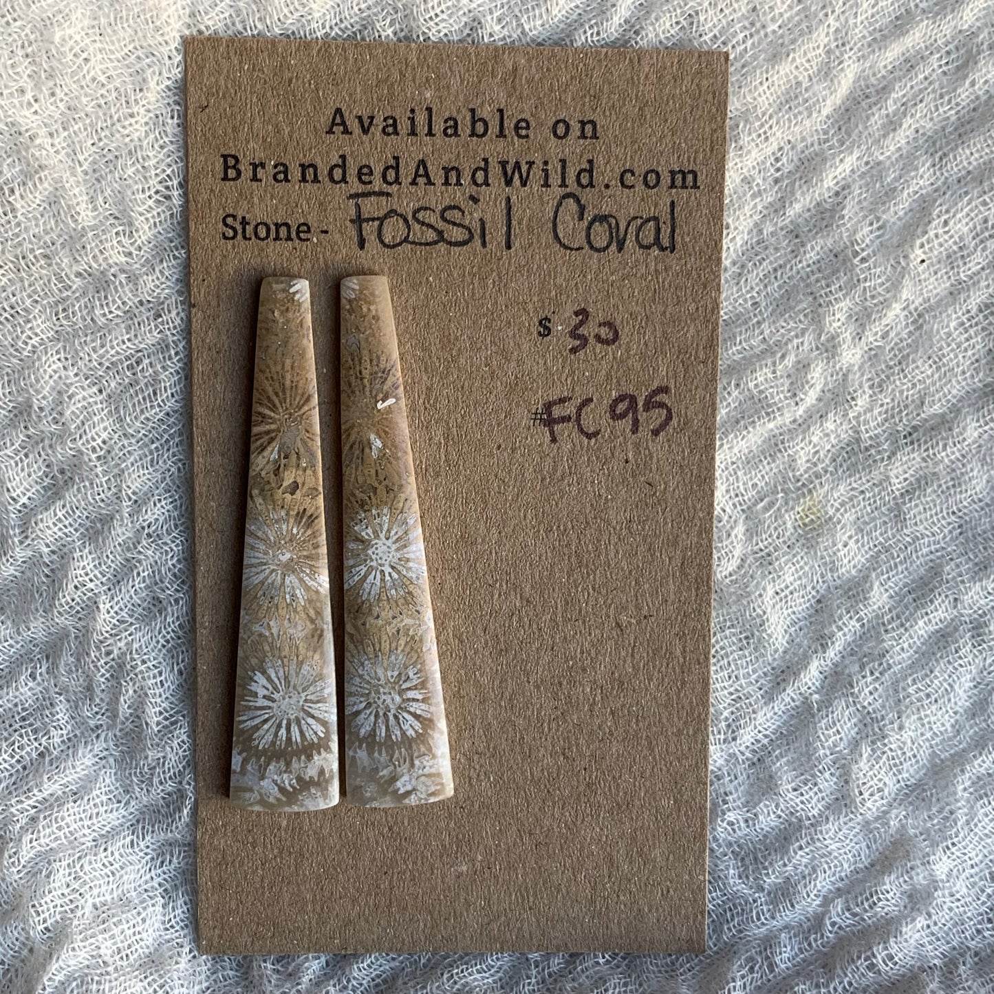 Fossil Coral Cabochon - FC95