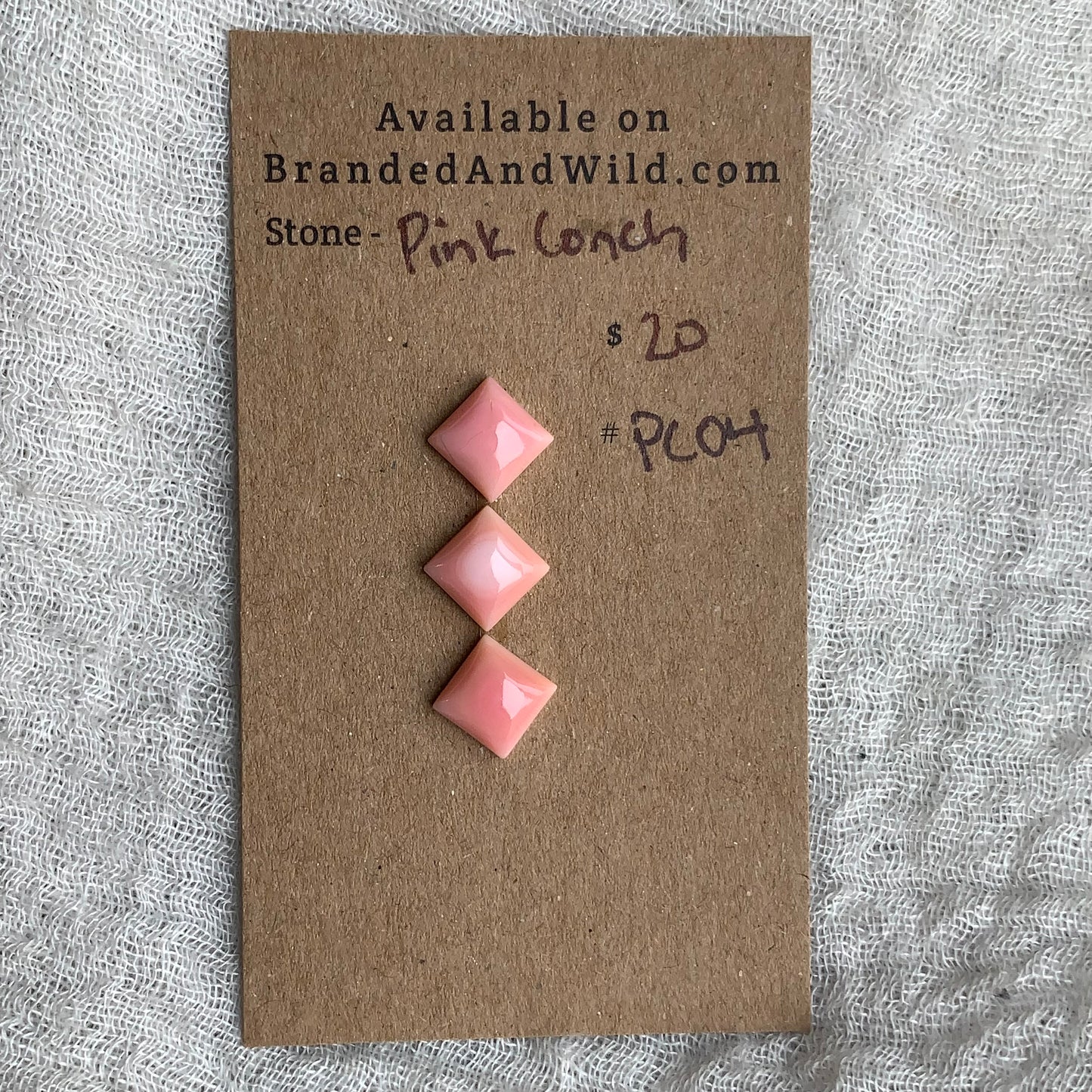 Pink Conch Cabochon - PC04