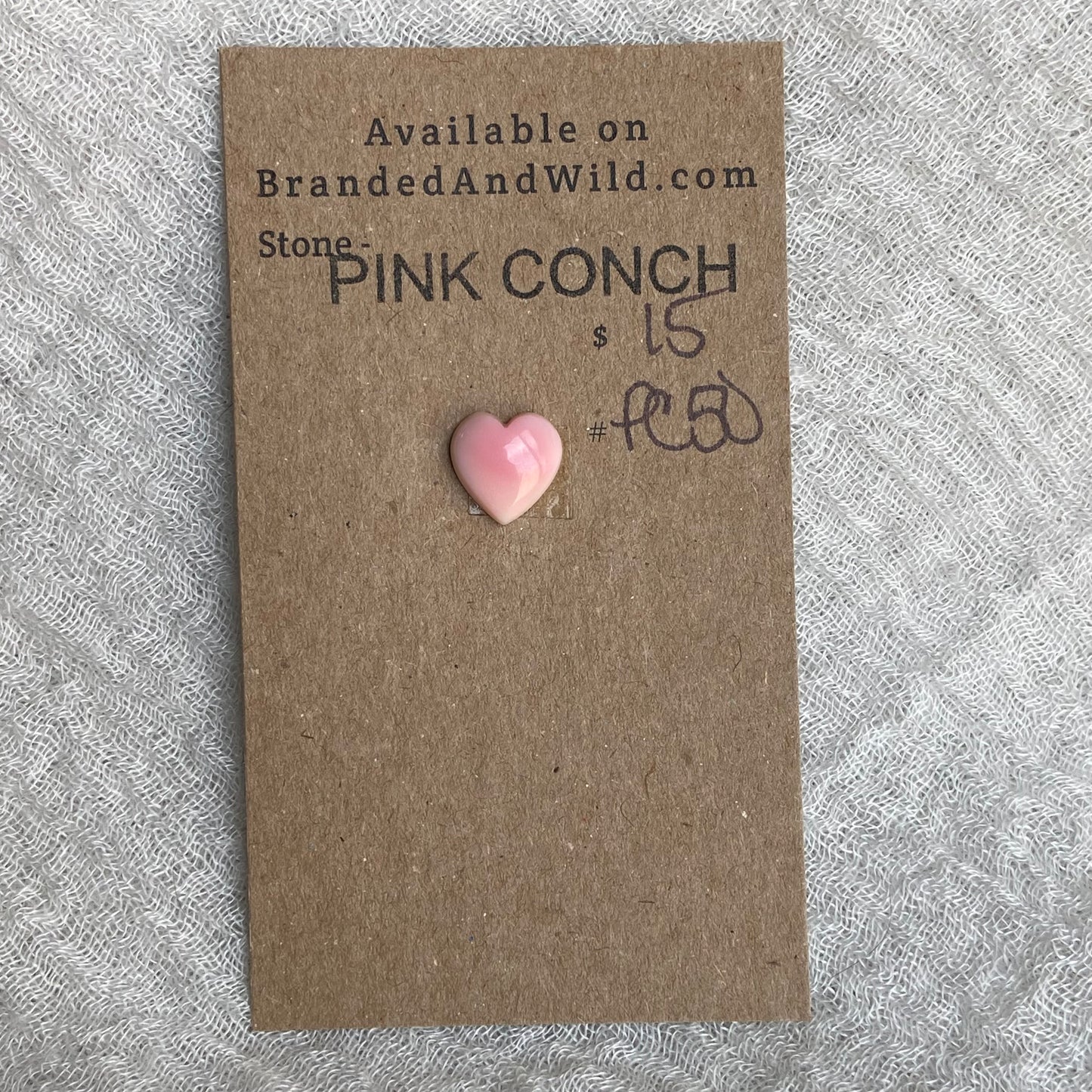 Pink Conch Cabochon - PC50