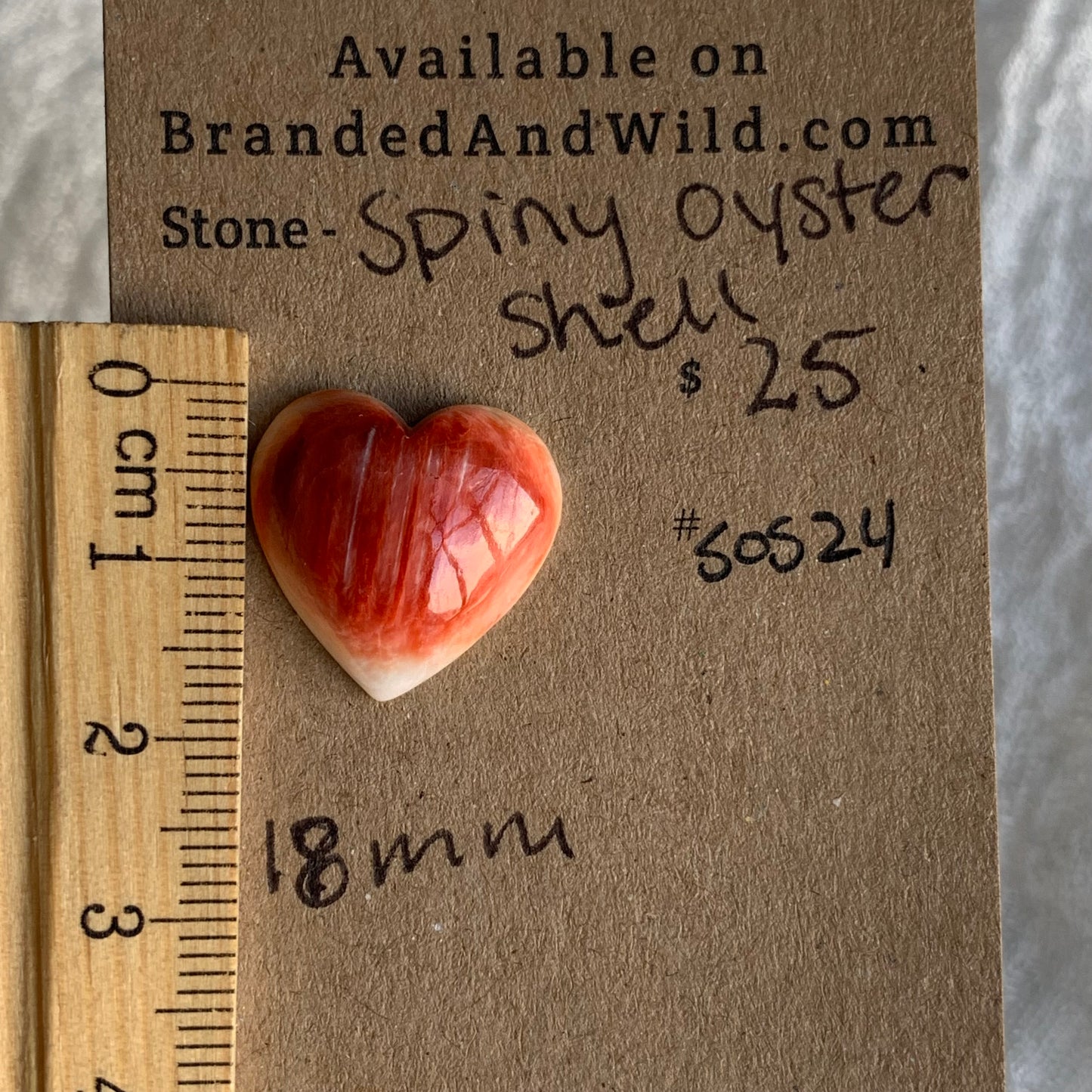 Spiny Oyster Shell Cabochon - SOS24