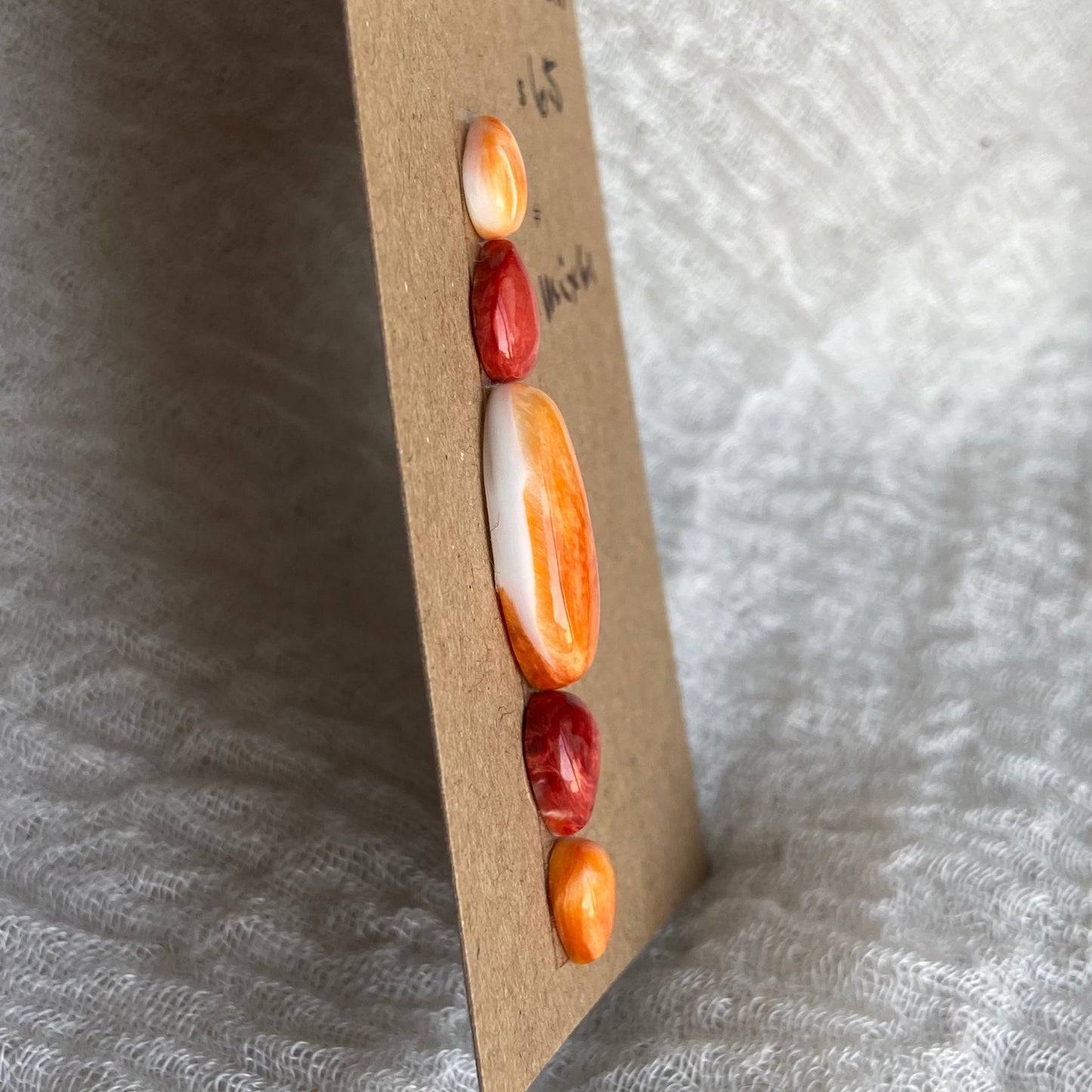 Oystershell Cabochon - MIX61