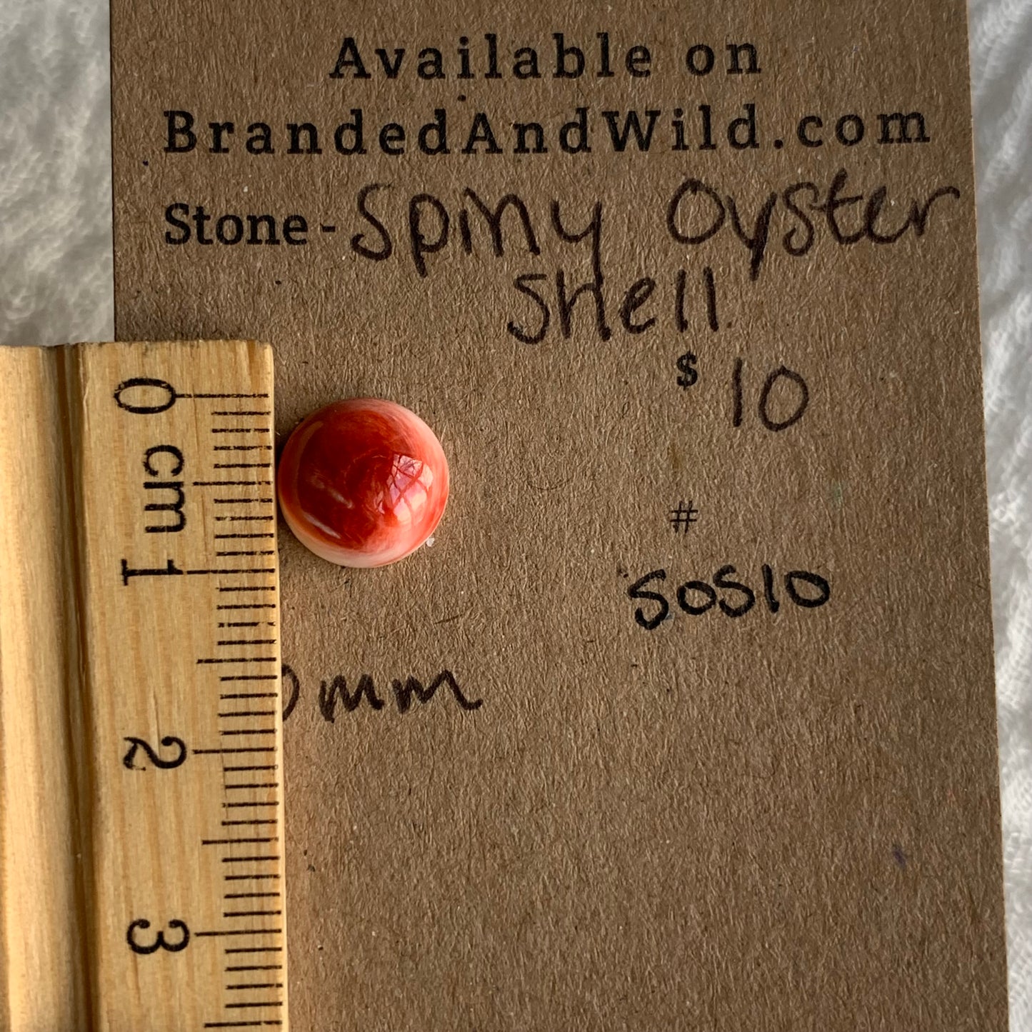 Spiny Oyster Shell Cabochon - SOS10