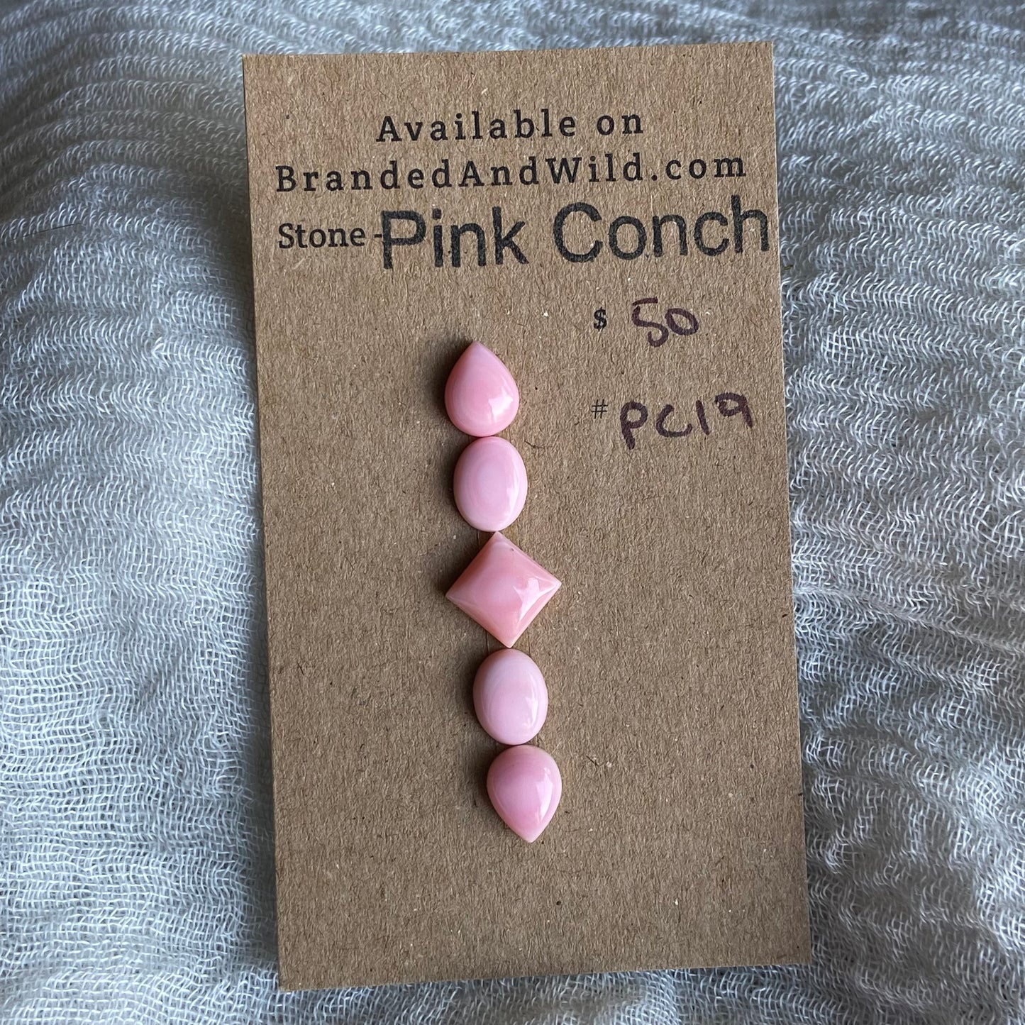 Pink Conch Cabochon - PC19