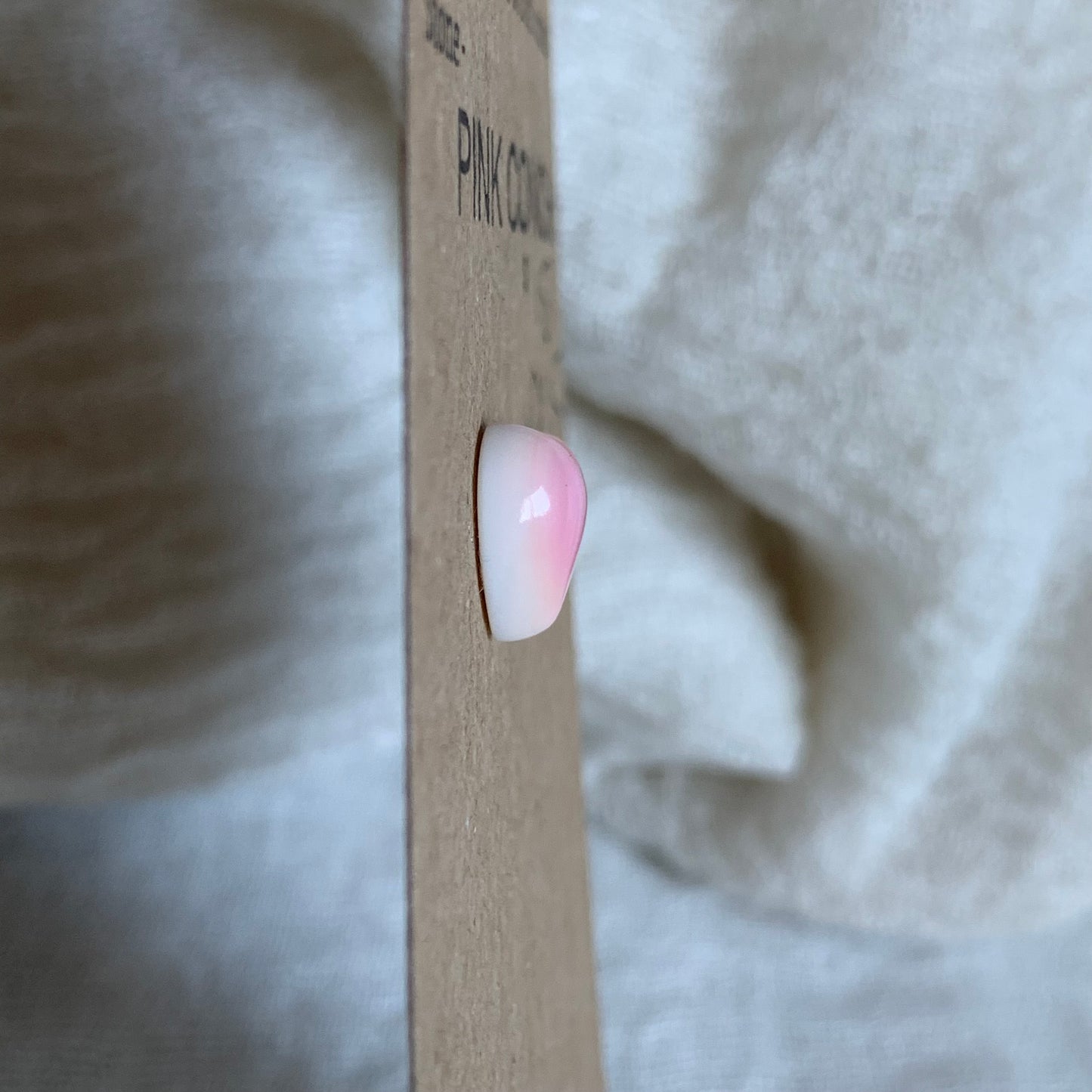 Pink Conch Cabochon - PC15