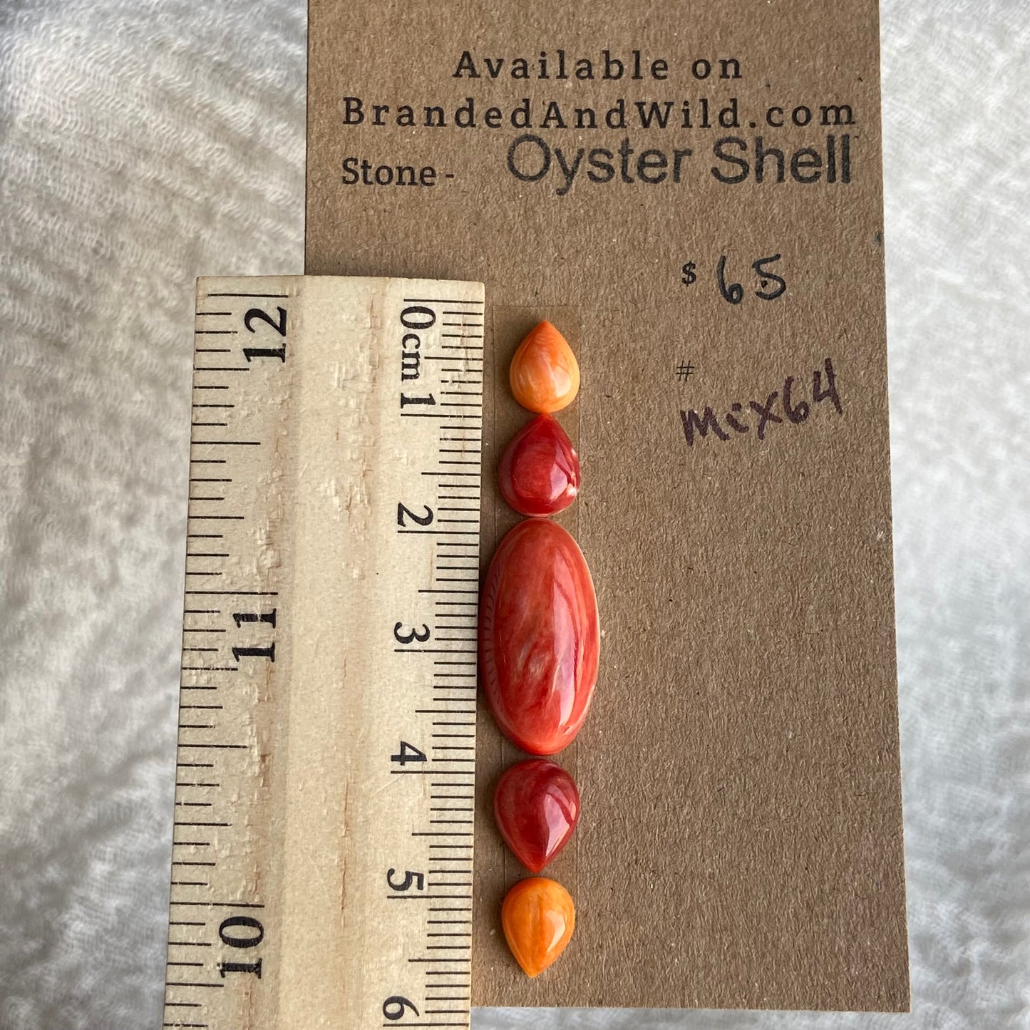 Oystershell Cabochon - MIX64