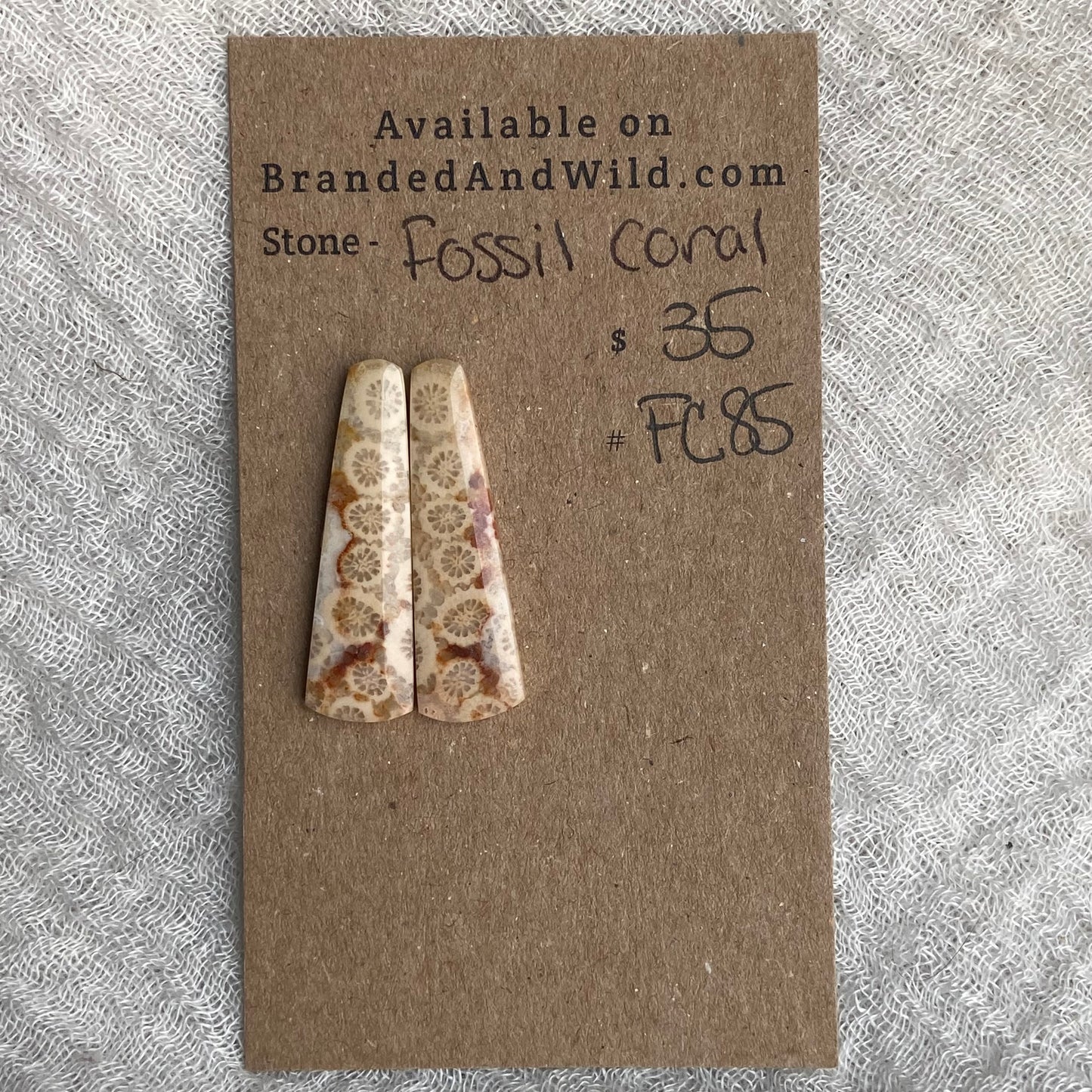 Fossil Coral Cabochon - FC85