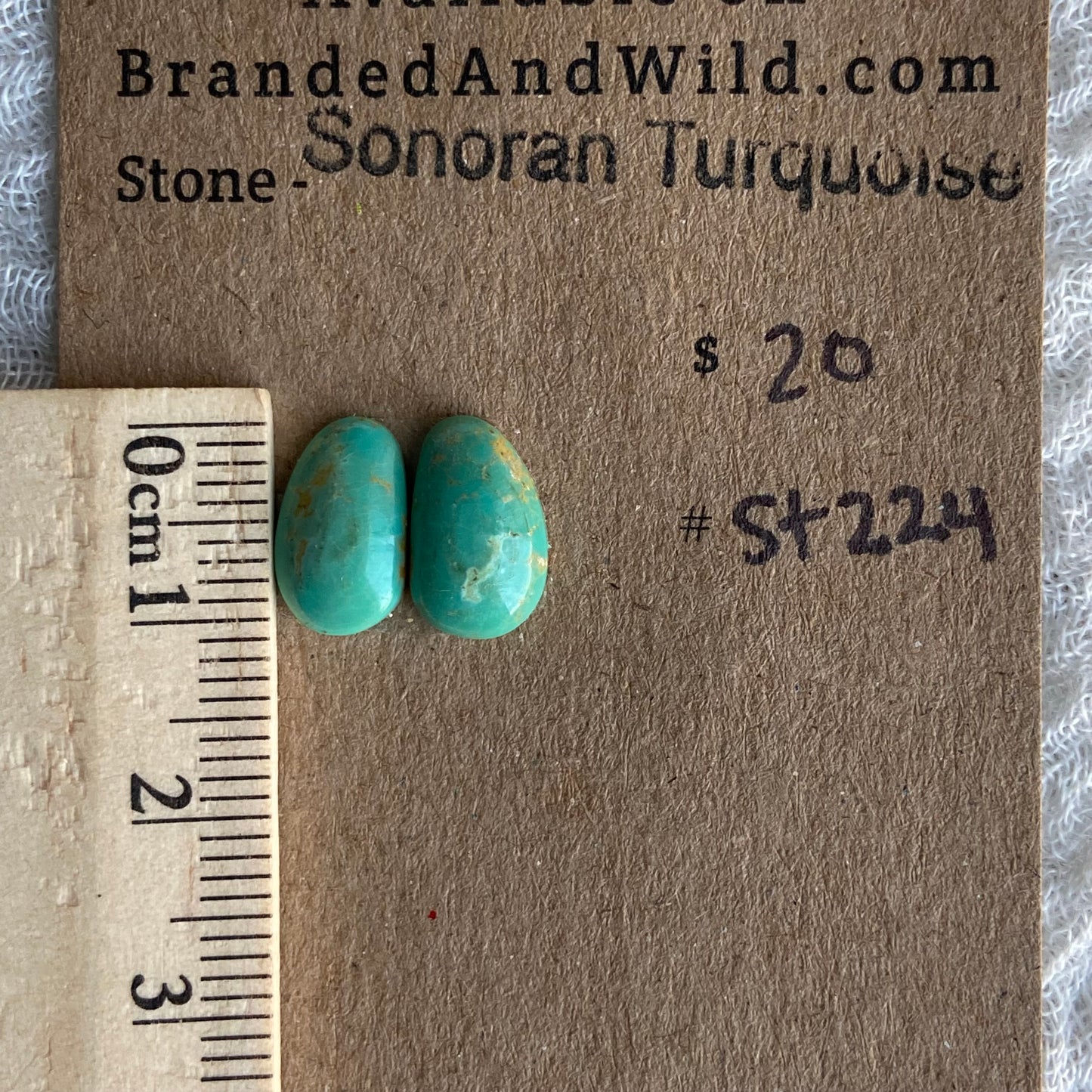 Sonoran Turquoise Cabochon - ST224