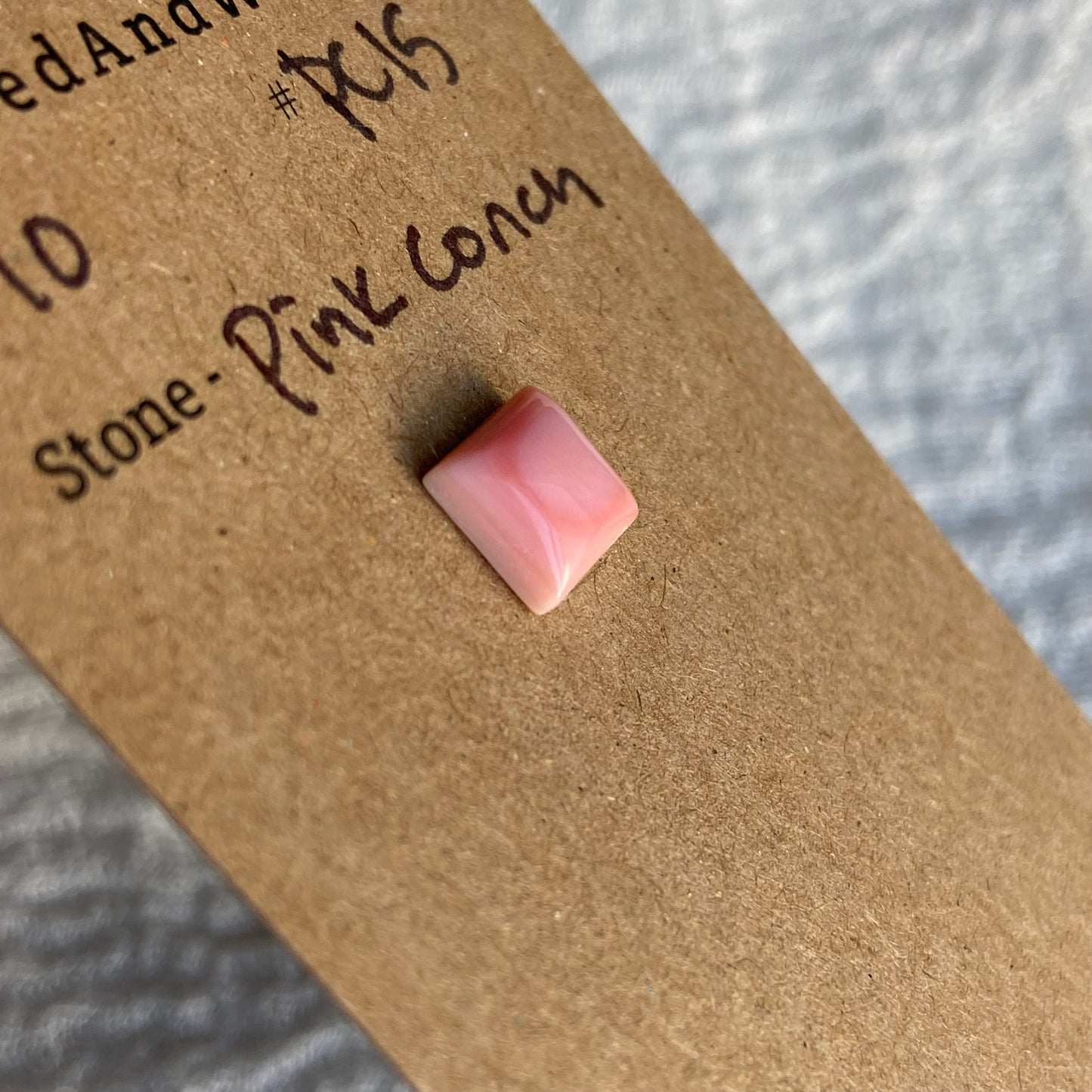 Pink Conch Cabochon - PC15