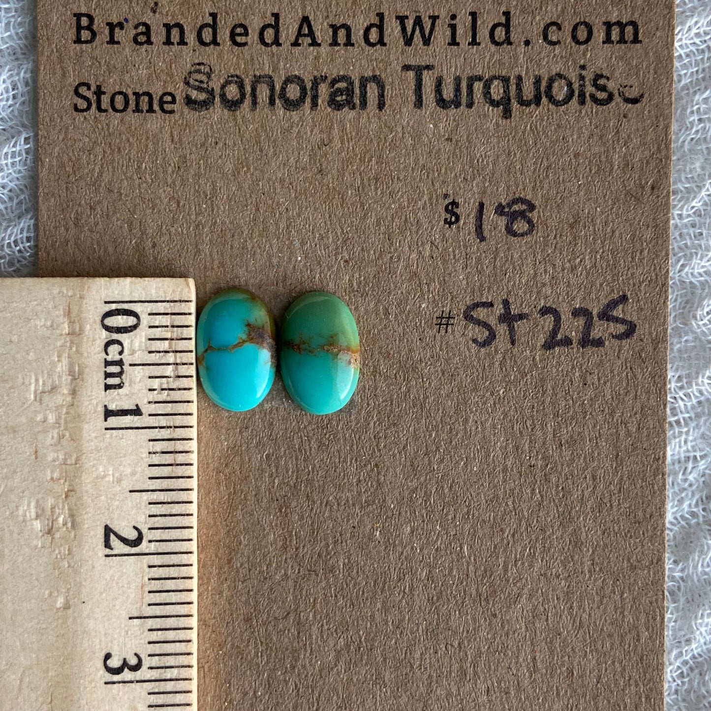 Sonoran Turquoise Cabochon - ST225