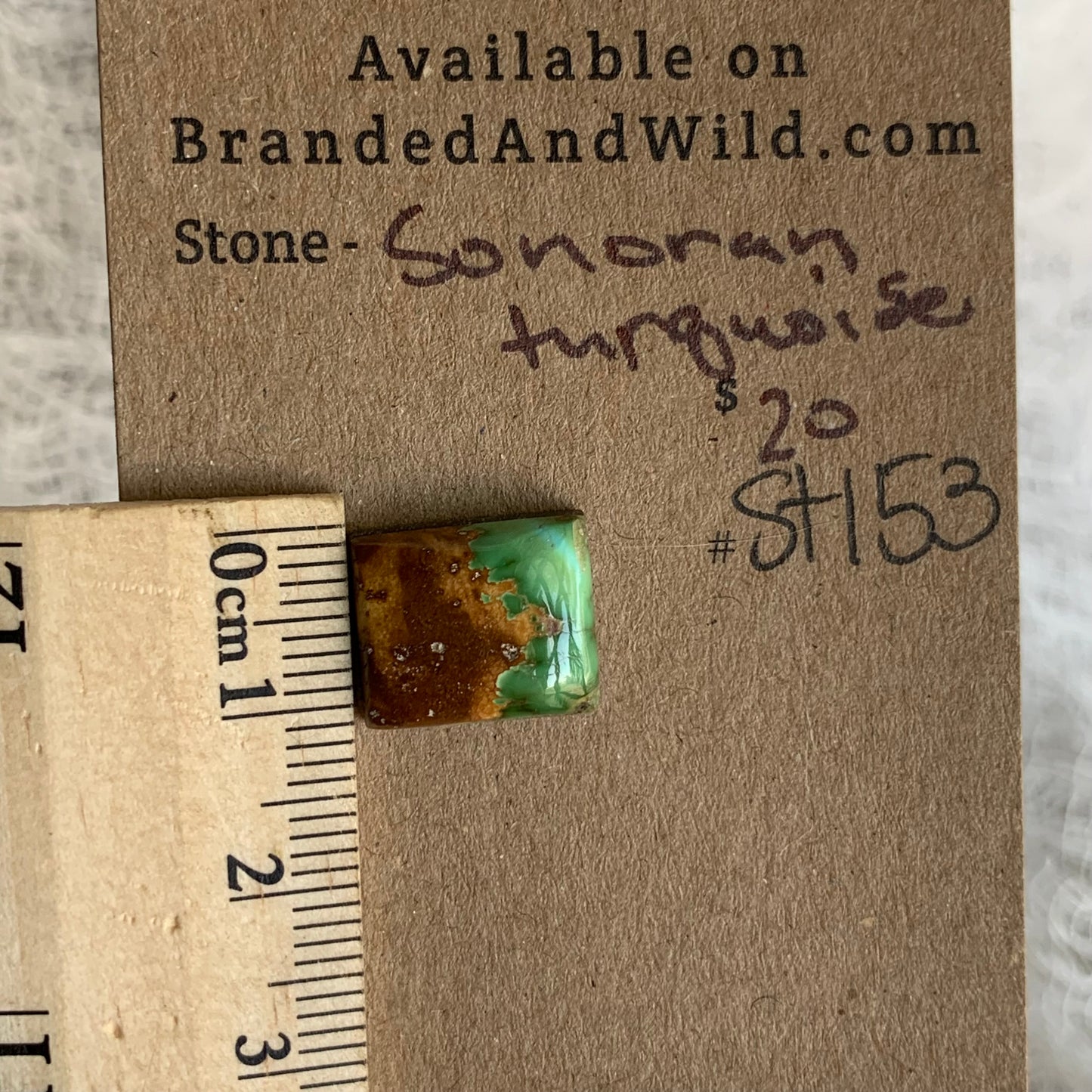 Sonoran Turquoise Cabochon - ST153