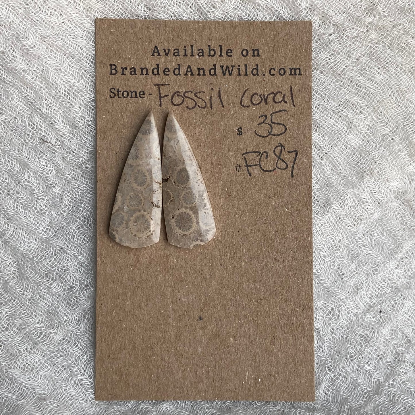 Fossil Coral Cabochon - FC87